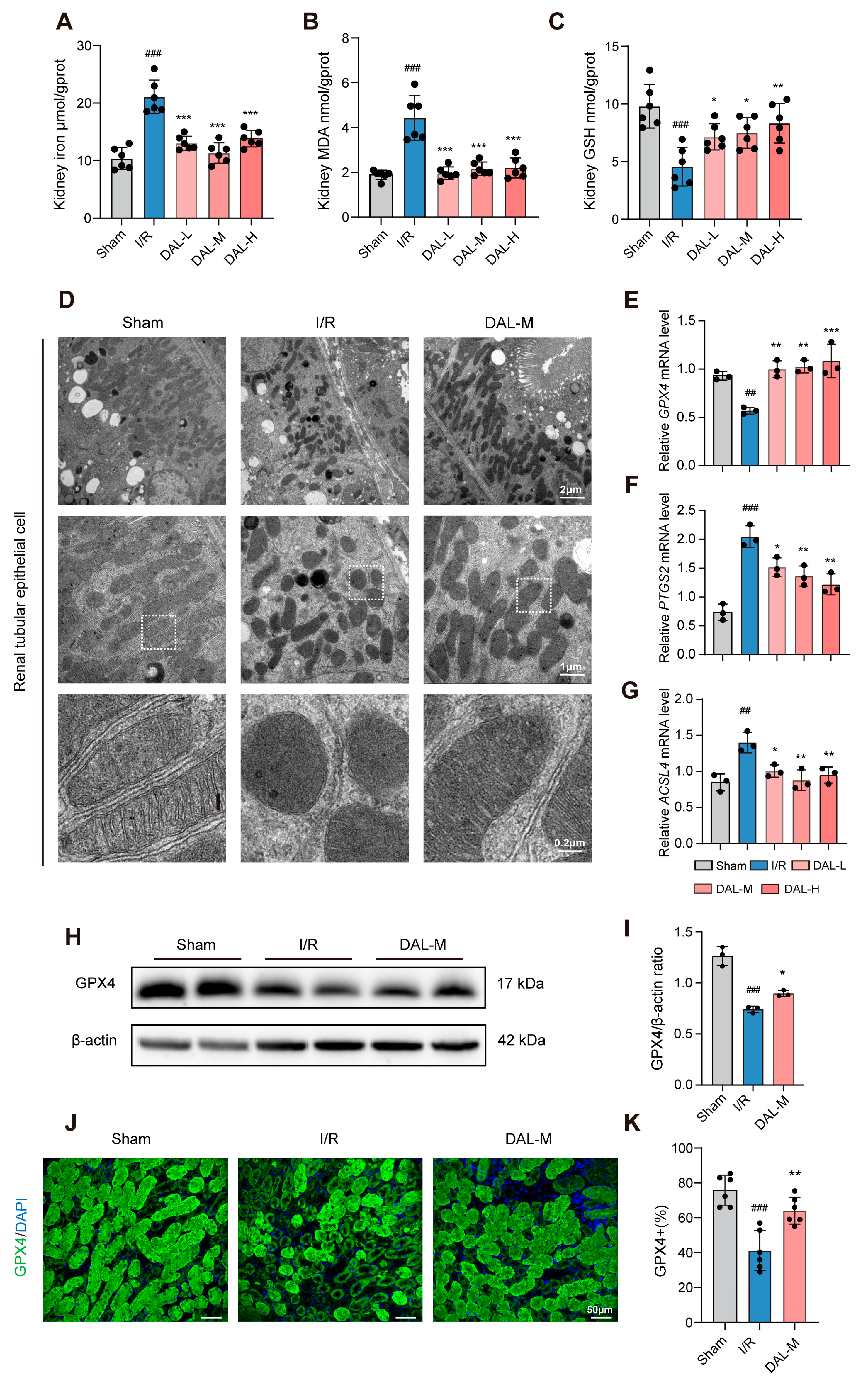 Pharmaceuticals 18 00789 g004