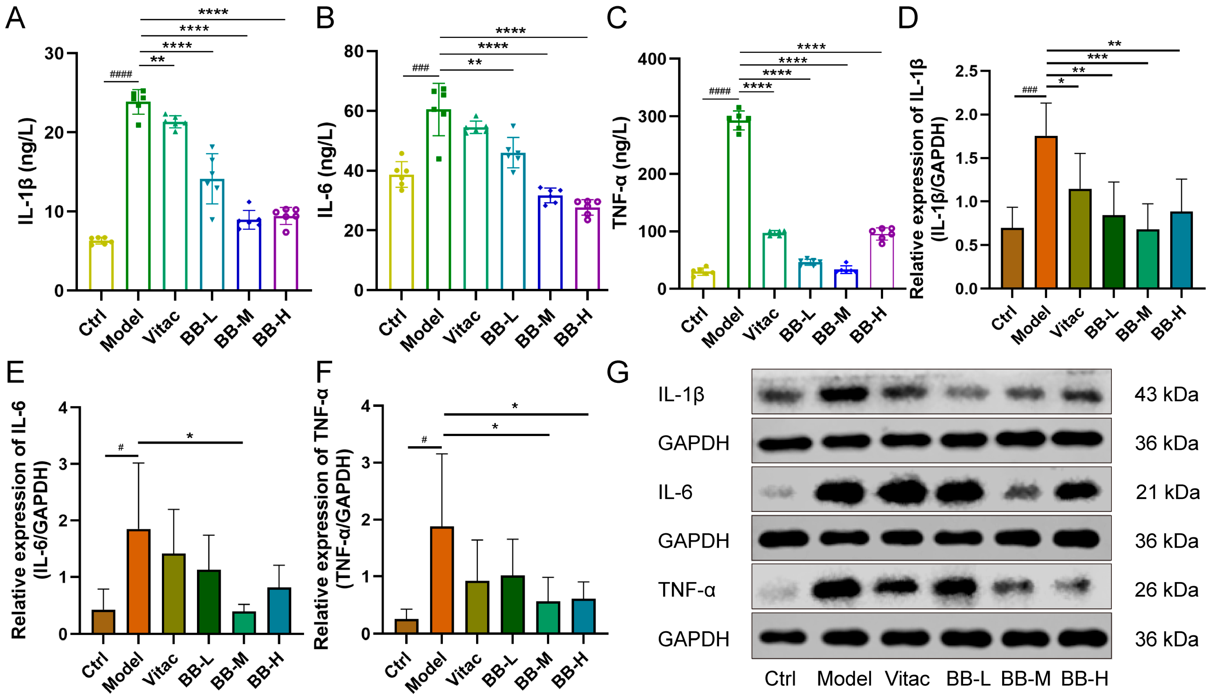 Pharmaceuticals 18 00791 g002