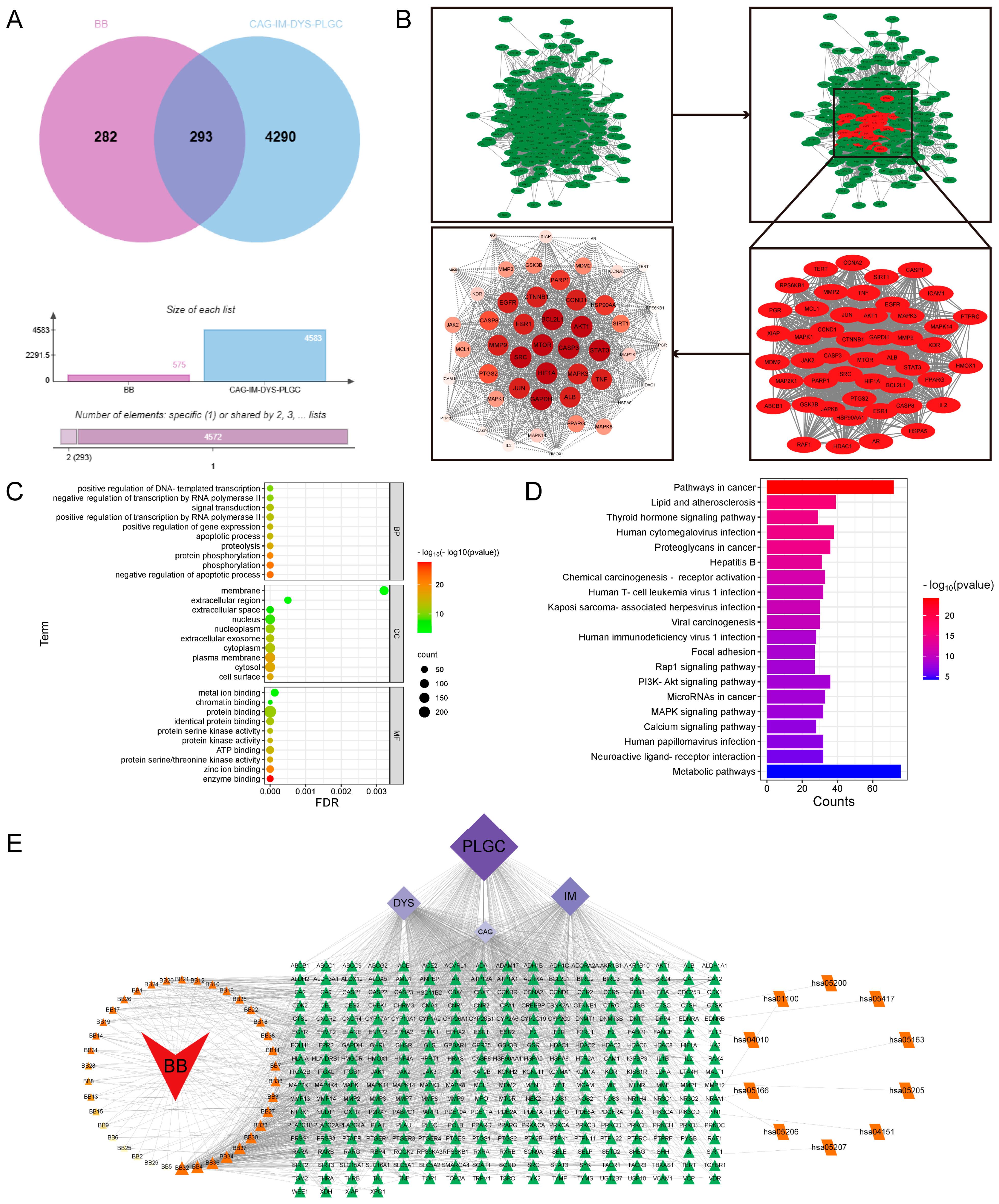 Pharmaceuticals 18 00791 g005