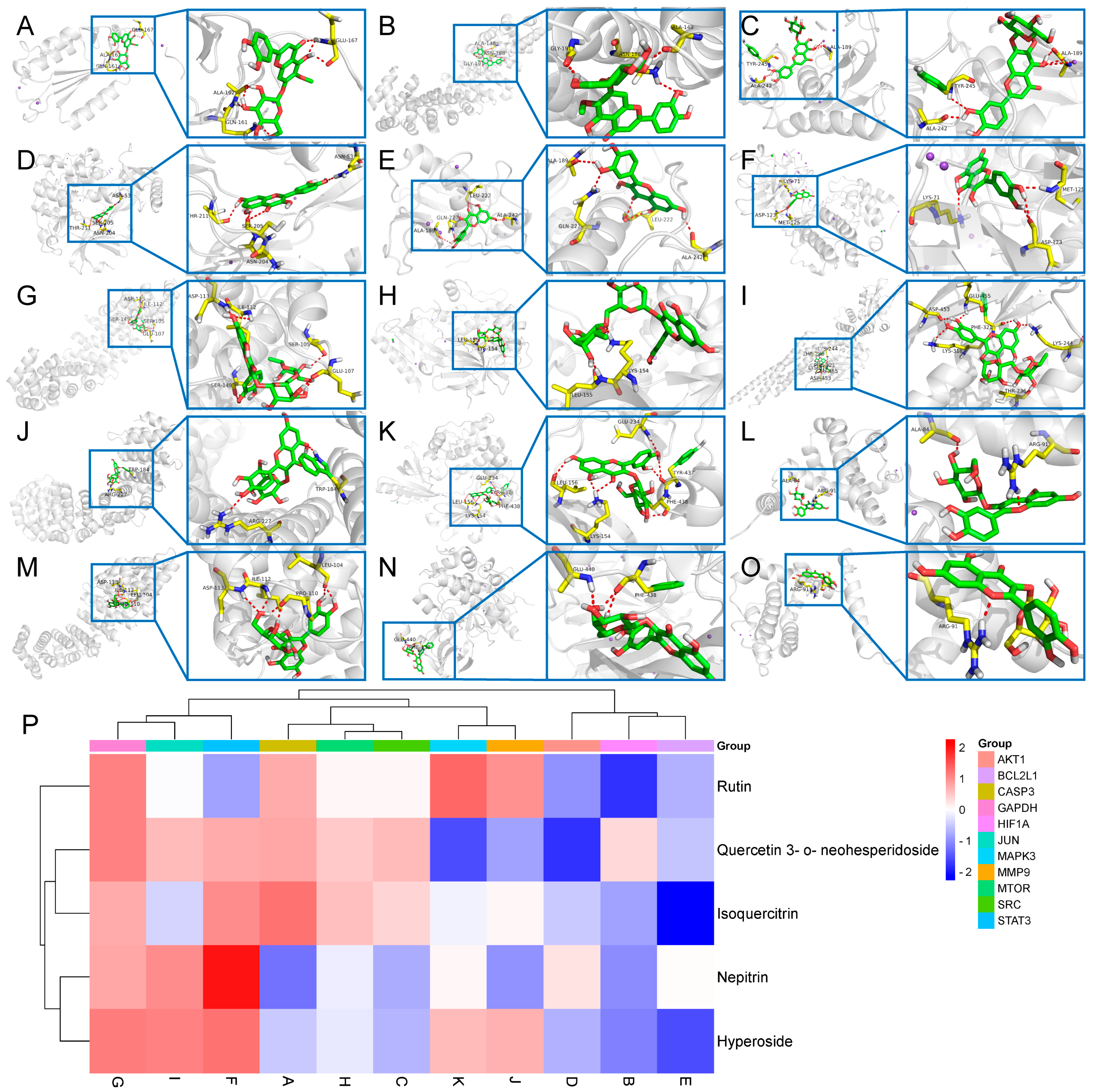 Pharmaceuticals 18 00791 g006