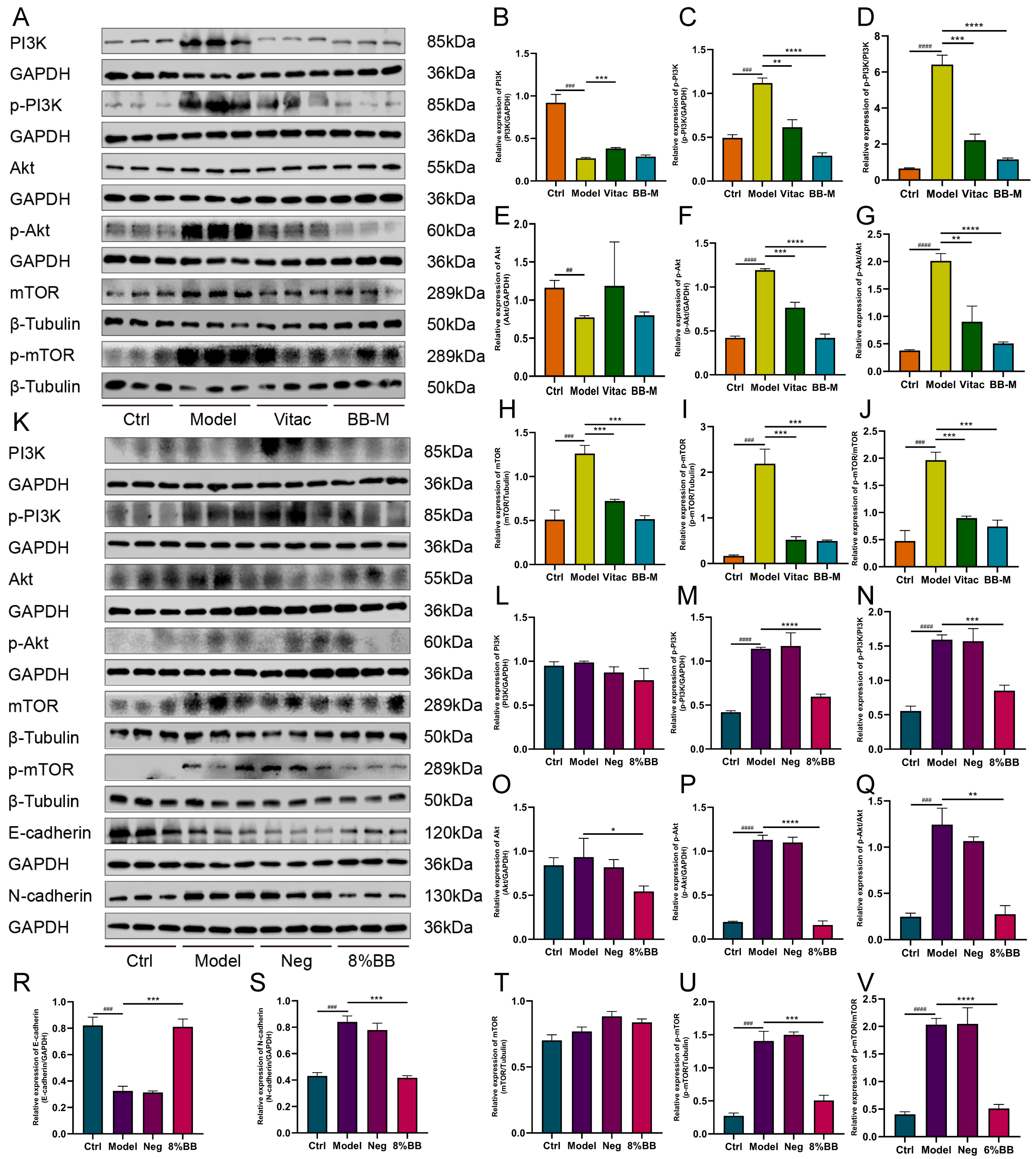 Pharmaceuticals 18 00791 g007