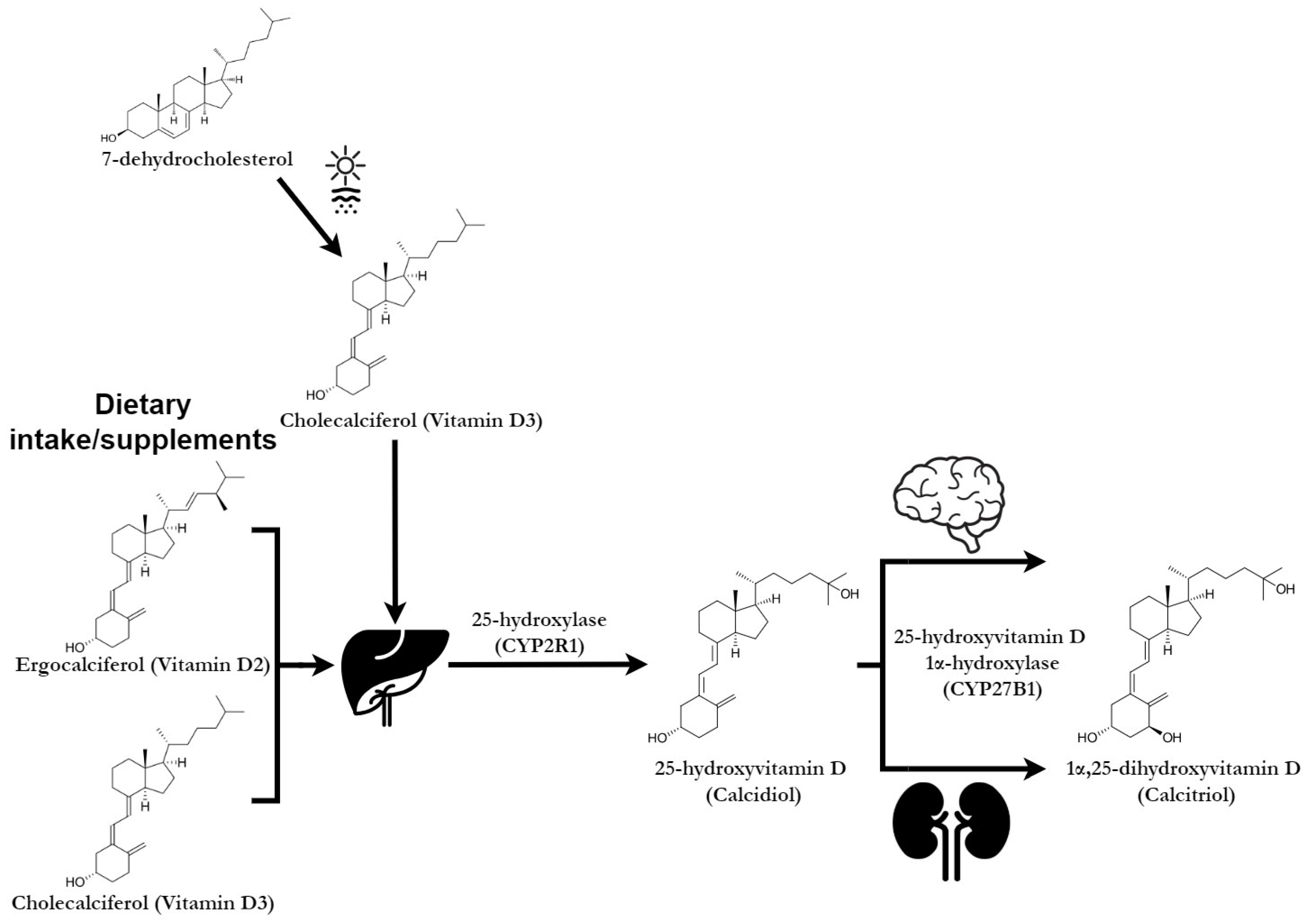 Pharmaceuticals 18 00792 g001