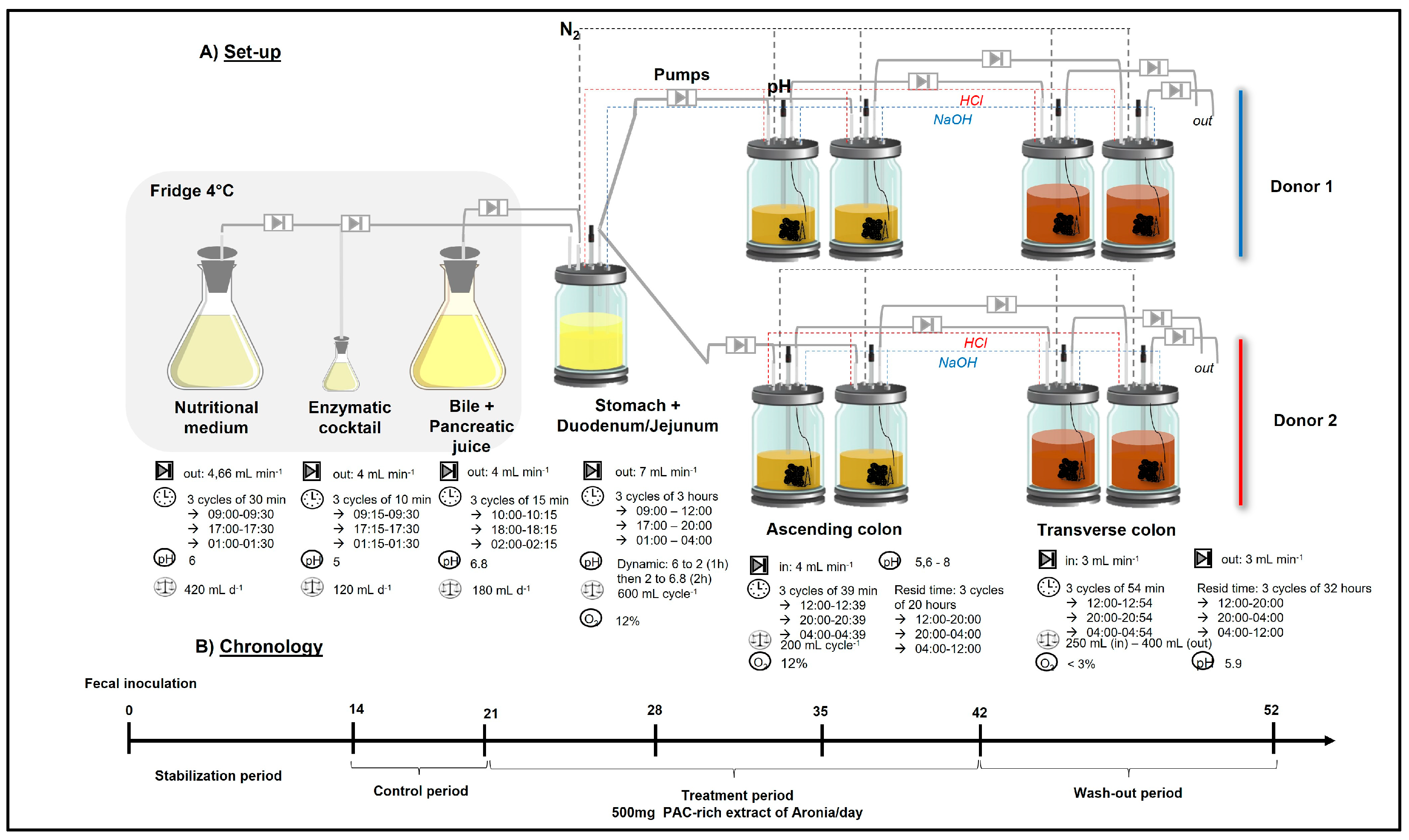 Pharmaceuticals 18 00793 g010
