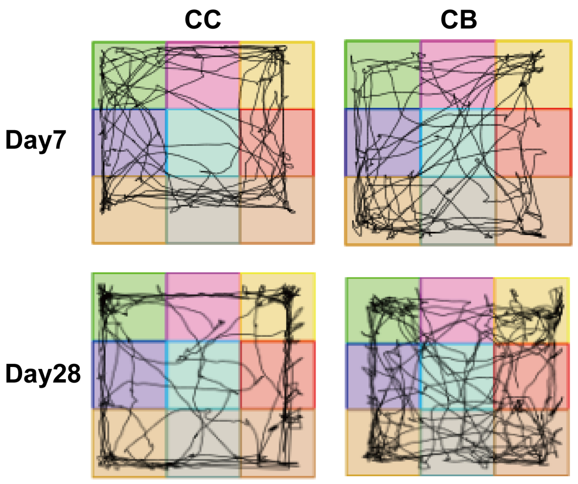 Pharmaceuticals 18 00794 g001