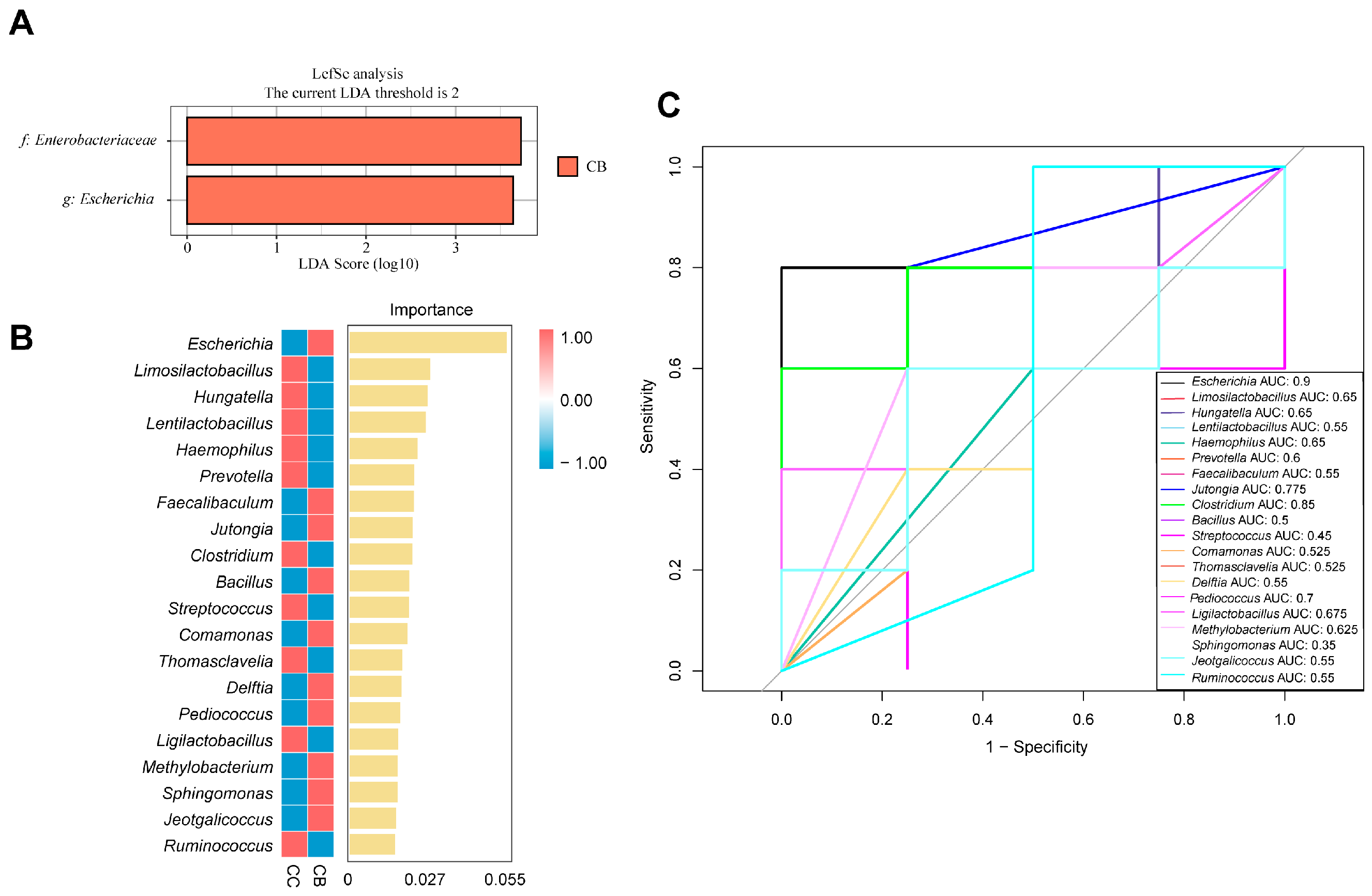 Pharmaceuticals 18 00794 g006