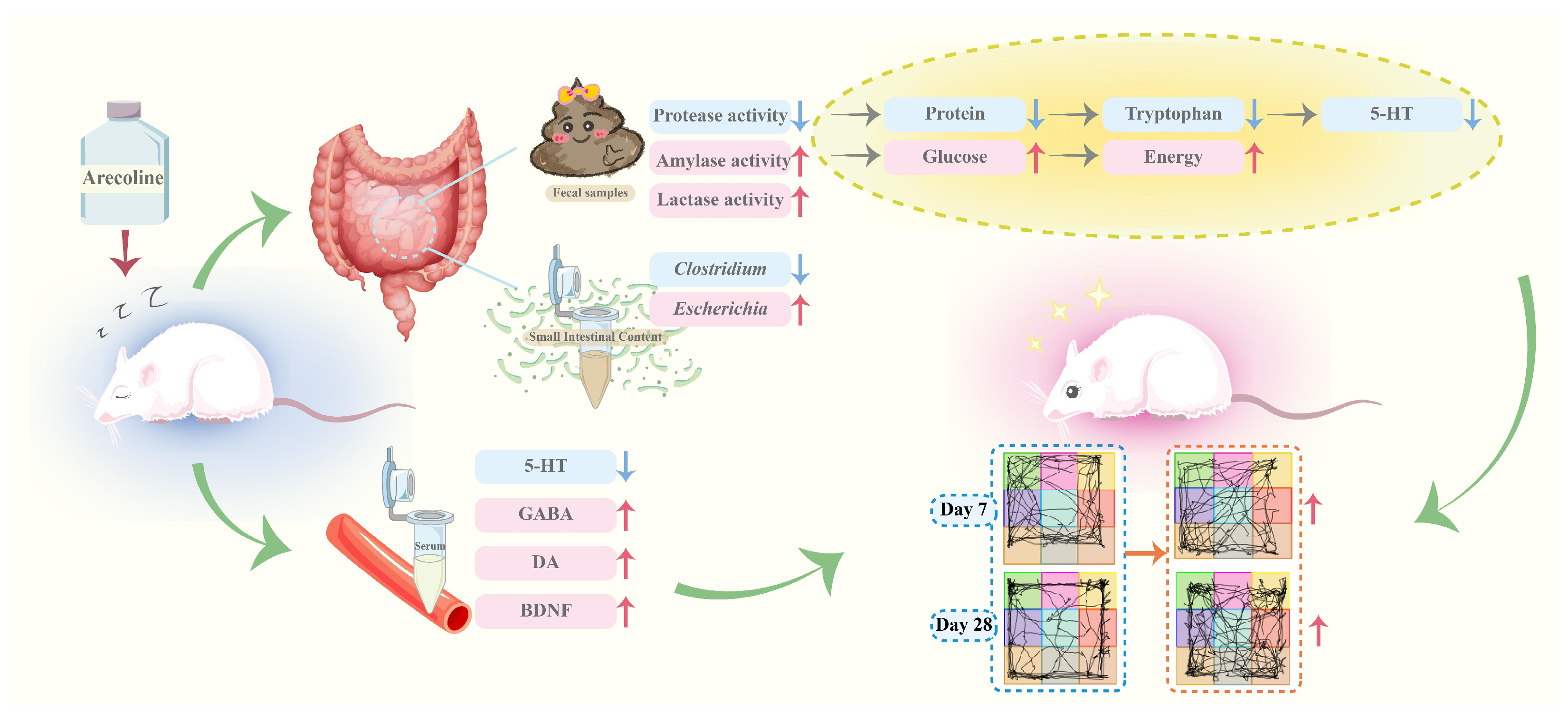 Pharmaceuticals 18 00794 g008