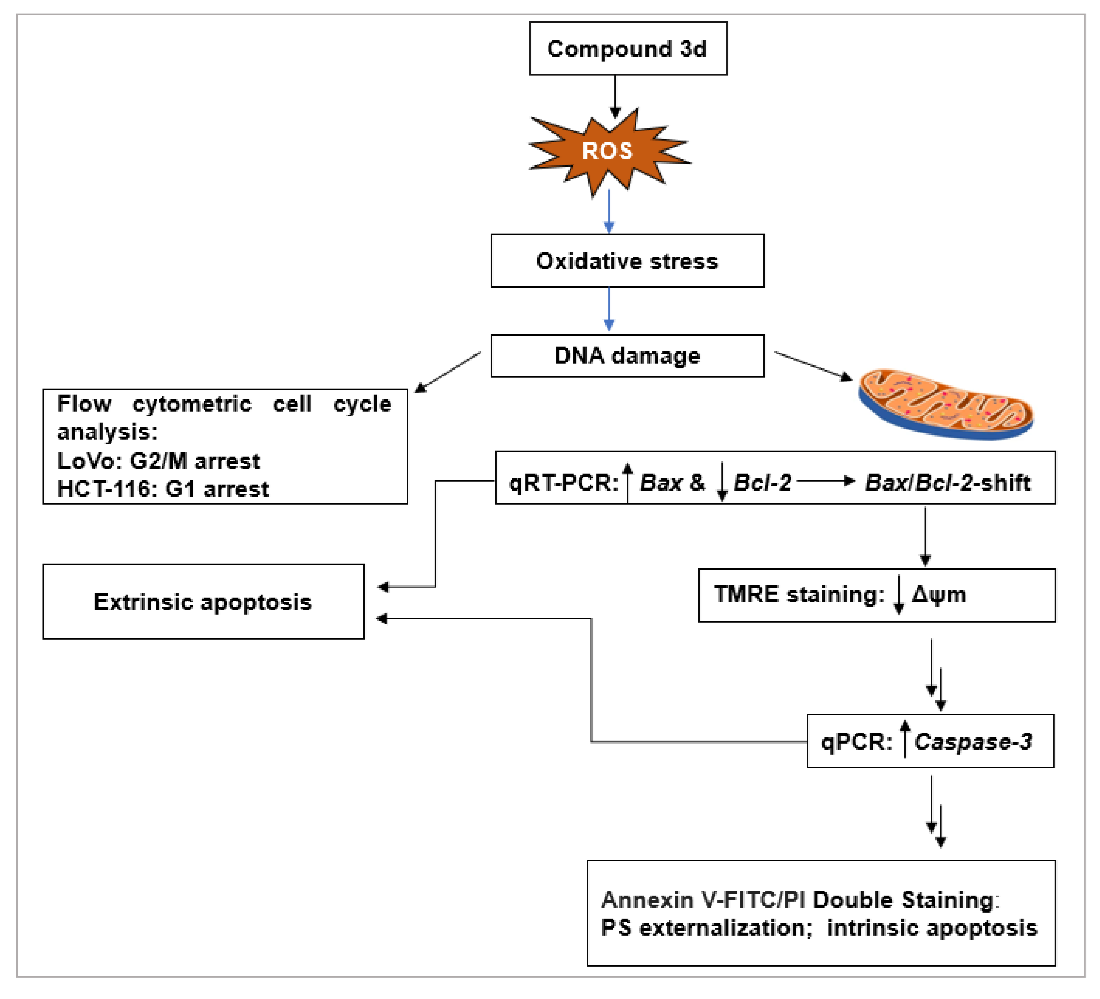 Pharmaceuticals 18 00801 g004