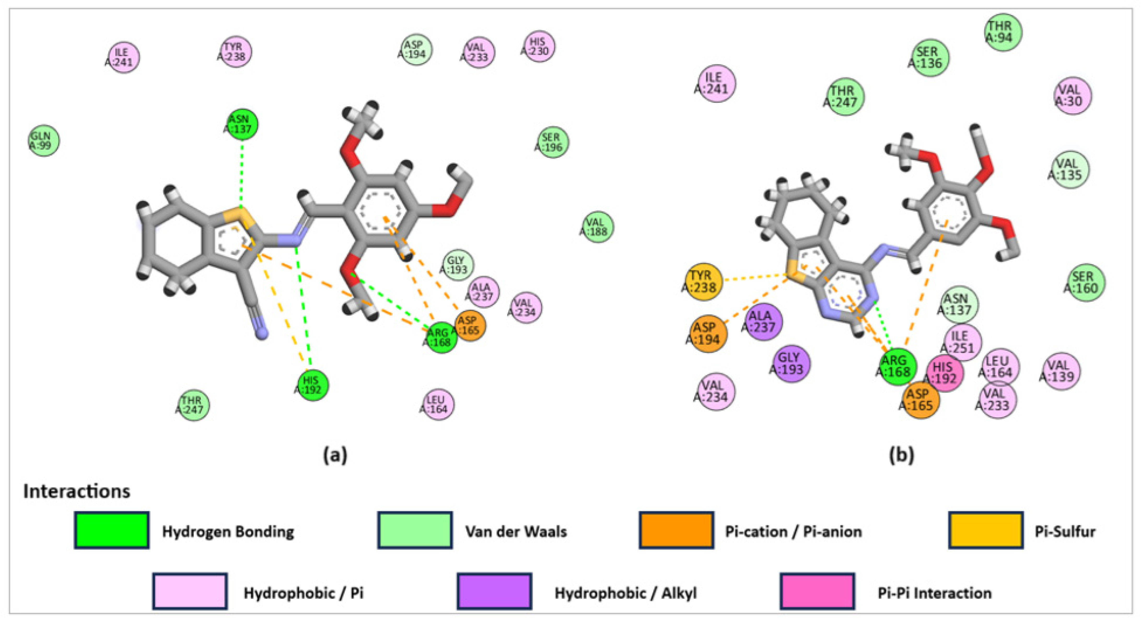 Pharmaceuticals 18 00801 g006