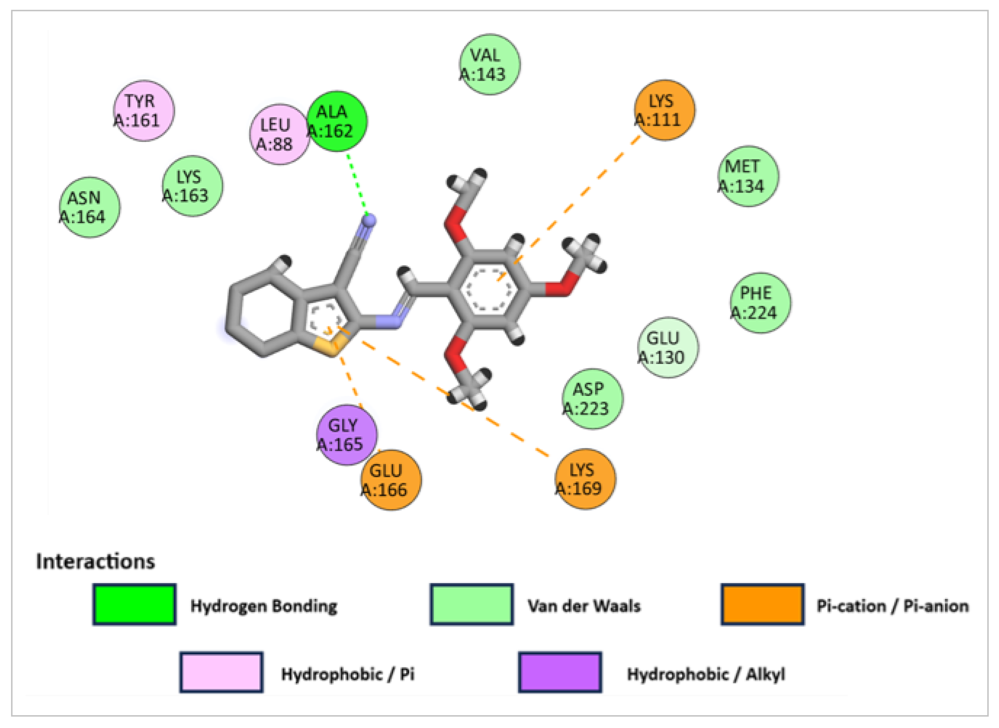 Pharmaceuticals 18 00801 g007