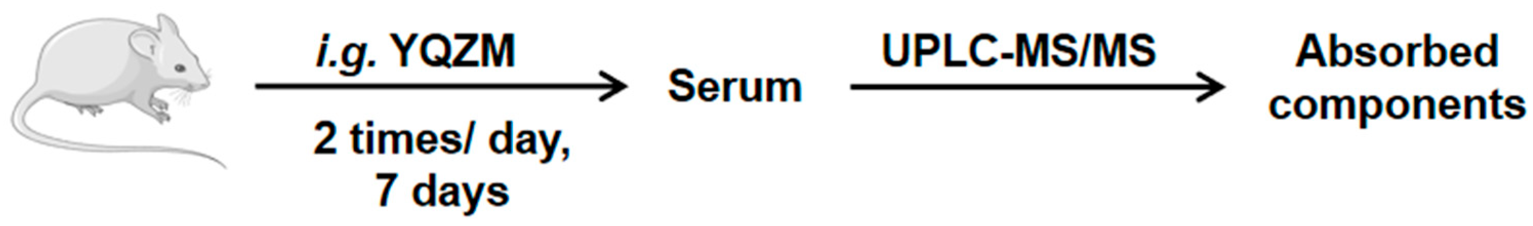 Pharmaceuticals 18 00802 g001