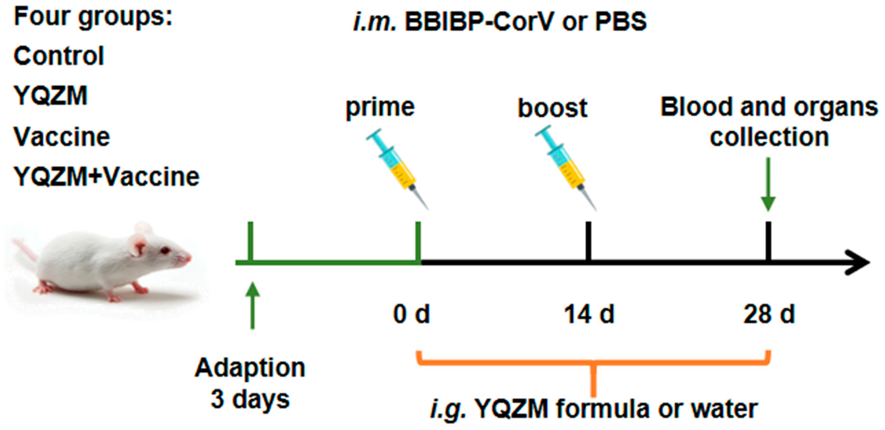 Pharmaceuticals 18 00802 g003