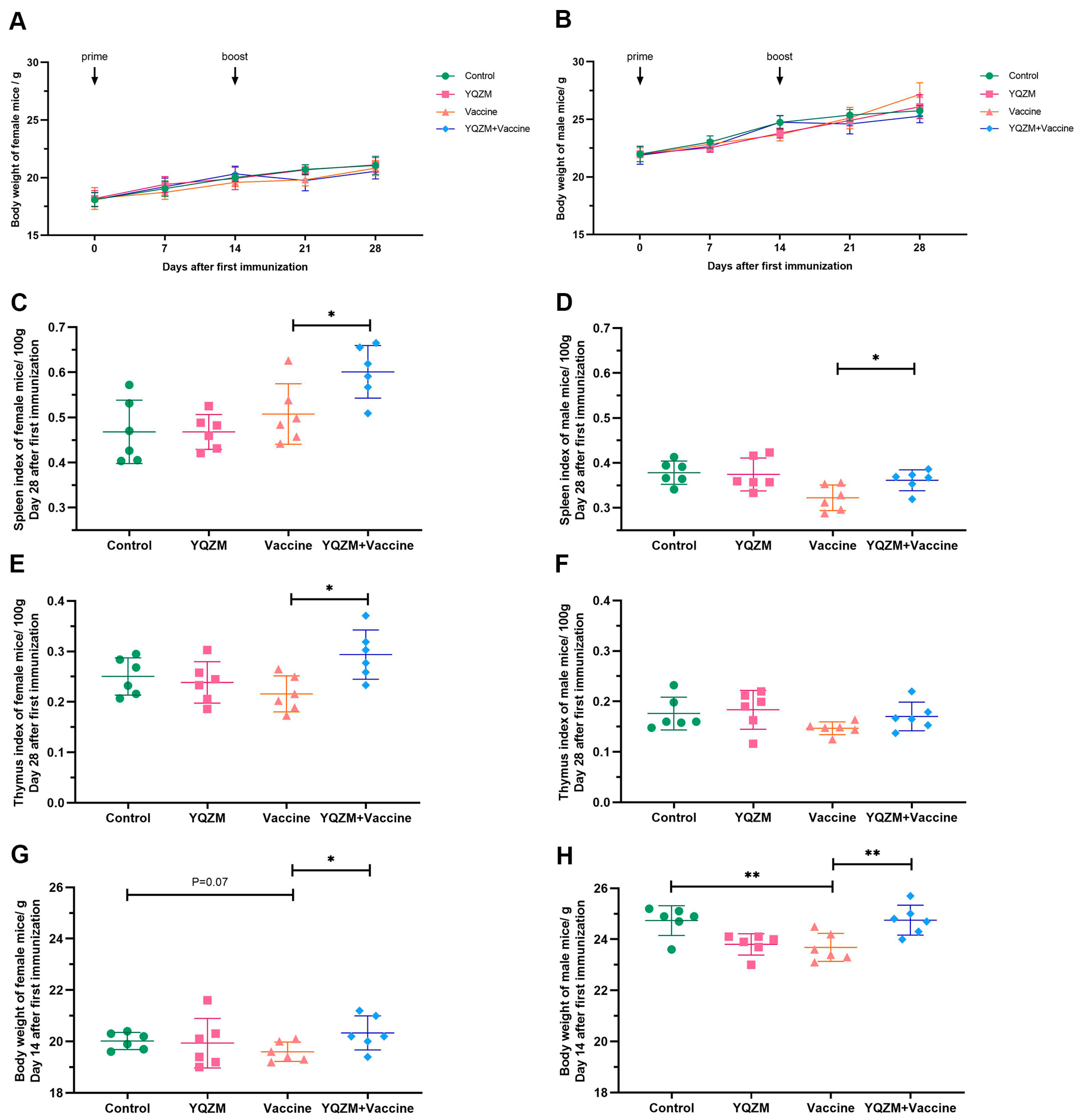 Pharmaceuticals 18 00802 g004