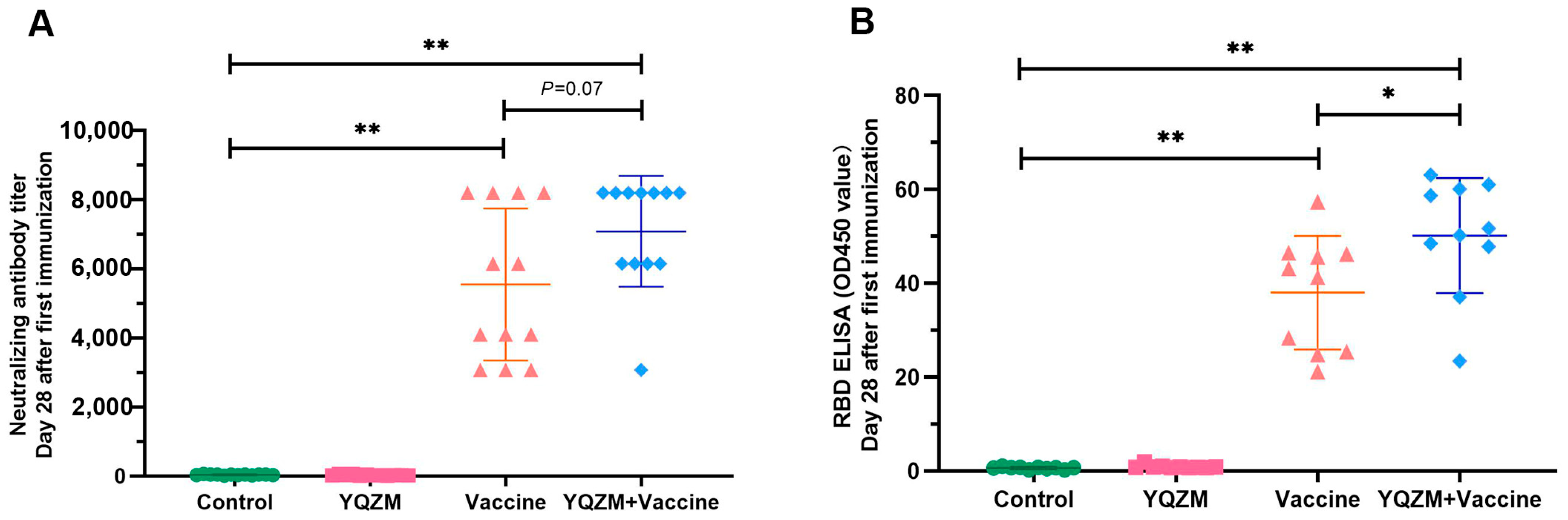Pharmaceuticals 18 00802 g005