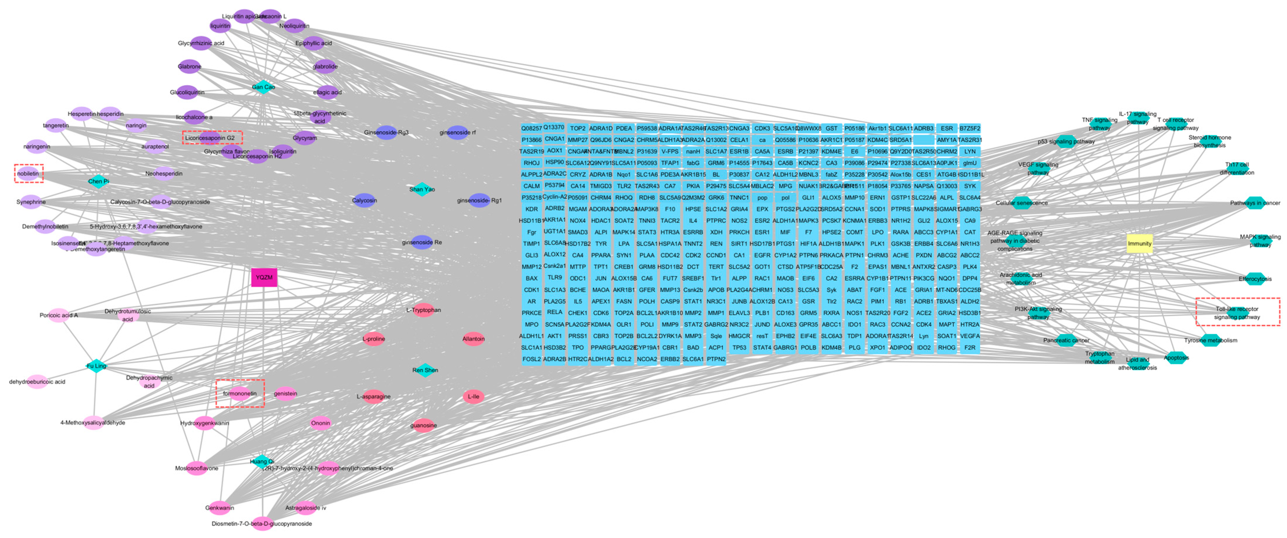 Pharmaceuticals 18 00802 g010