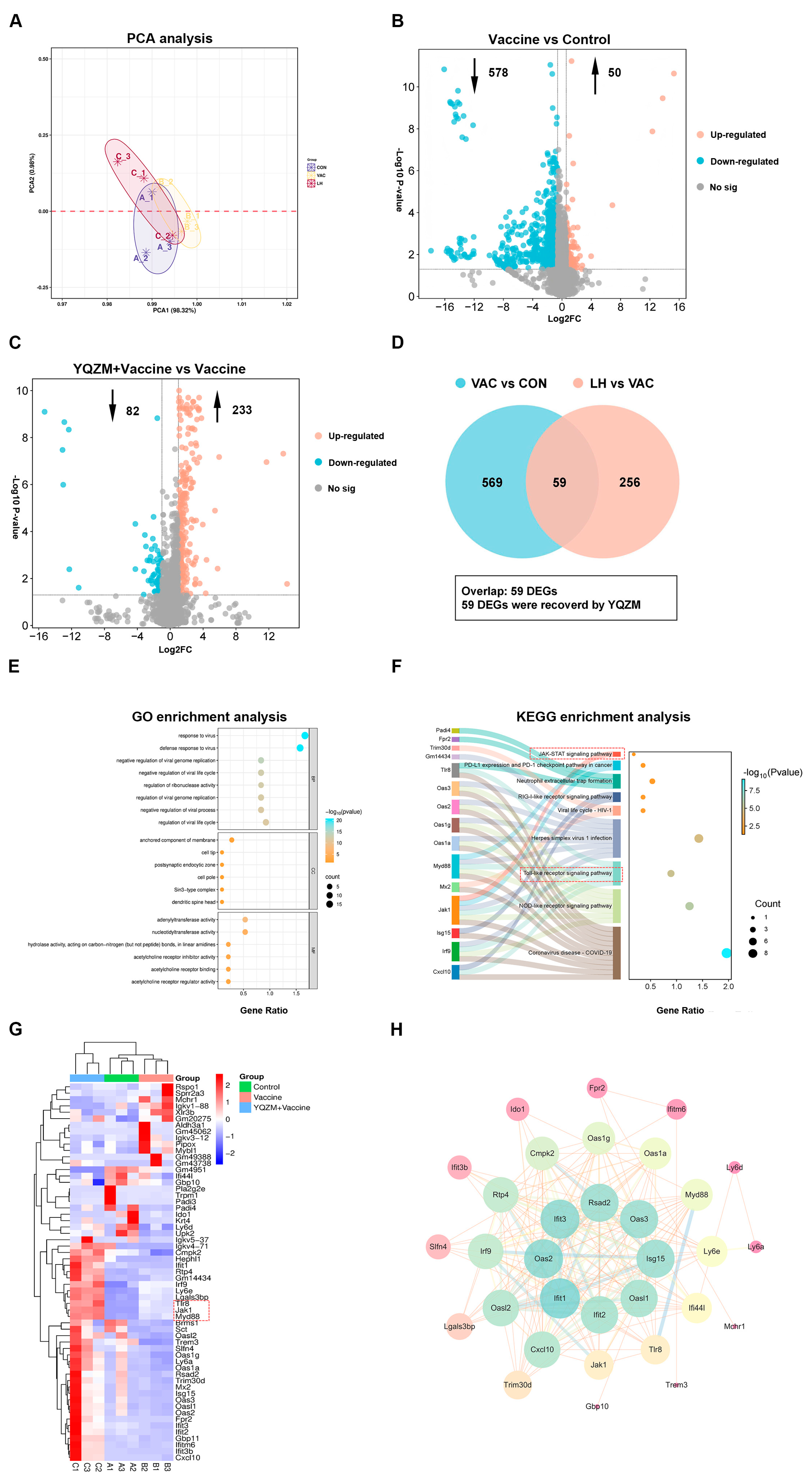 Pharmaceuticals 18 00802 g011