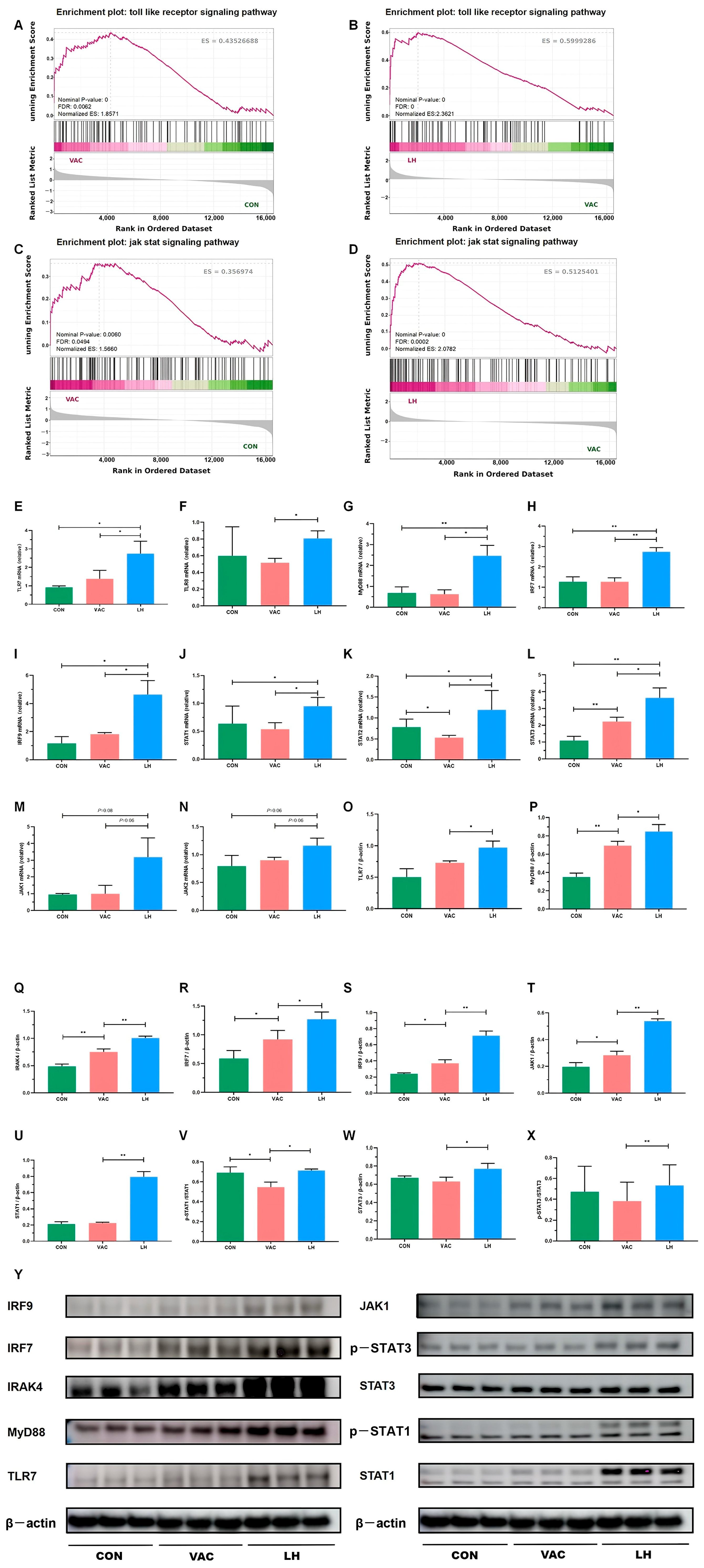 Pharmaceuticals 18 00802 g012