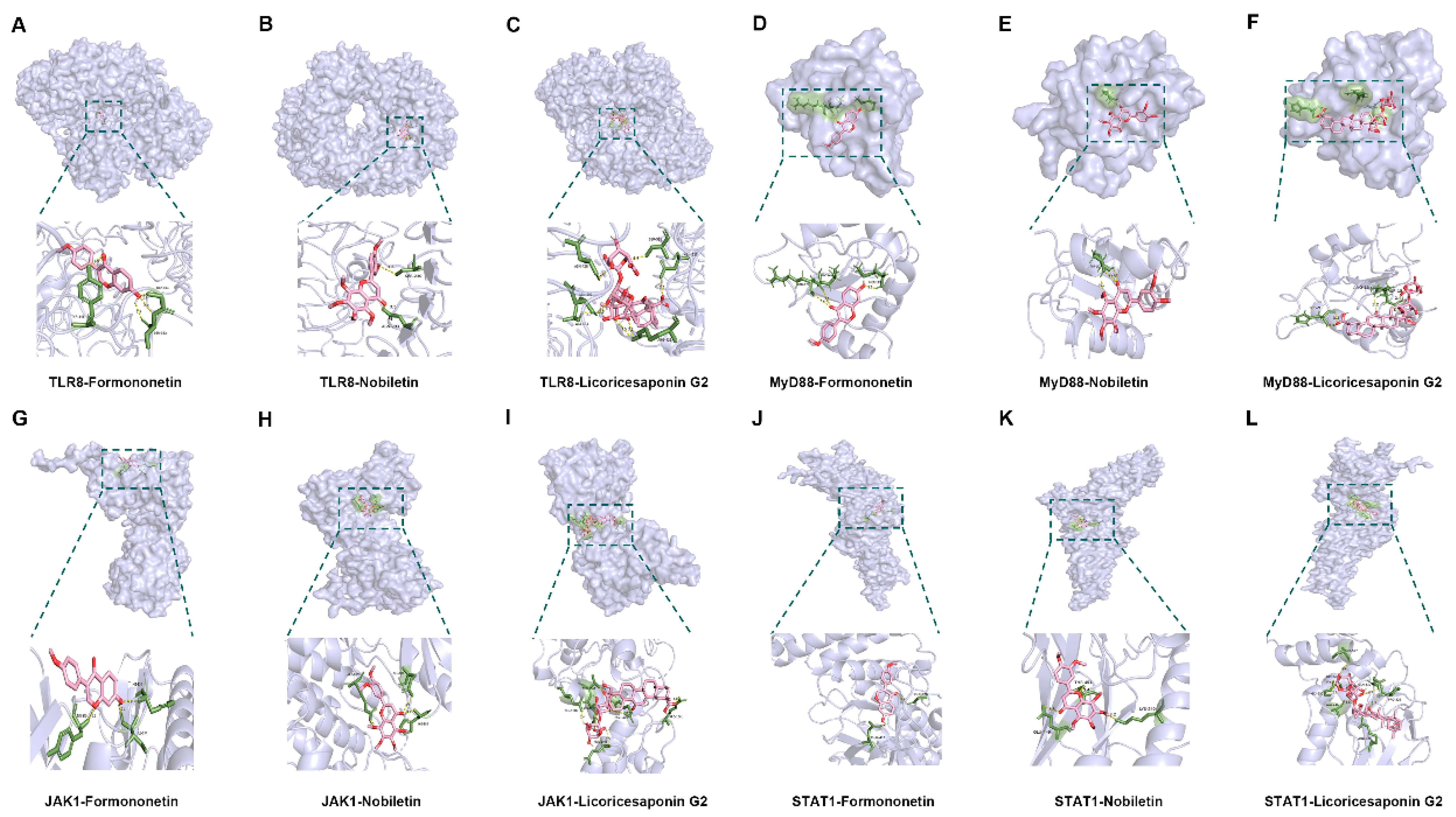 Pharmaceuticals 18 00802 g013