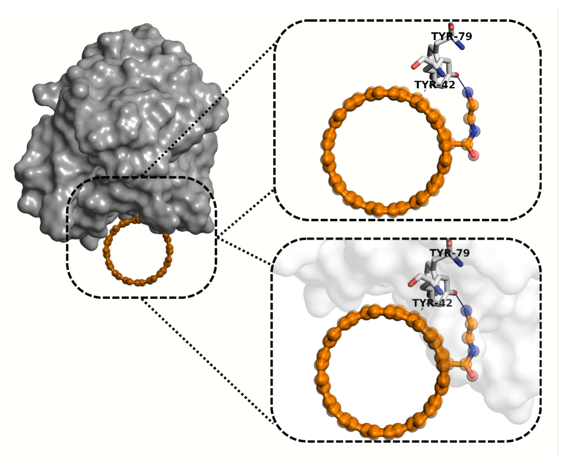 Pharmaceuticals 18 00805 g014
