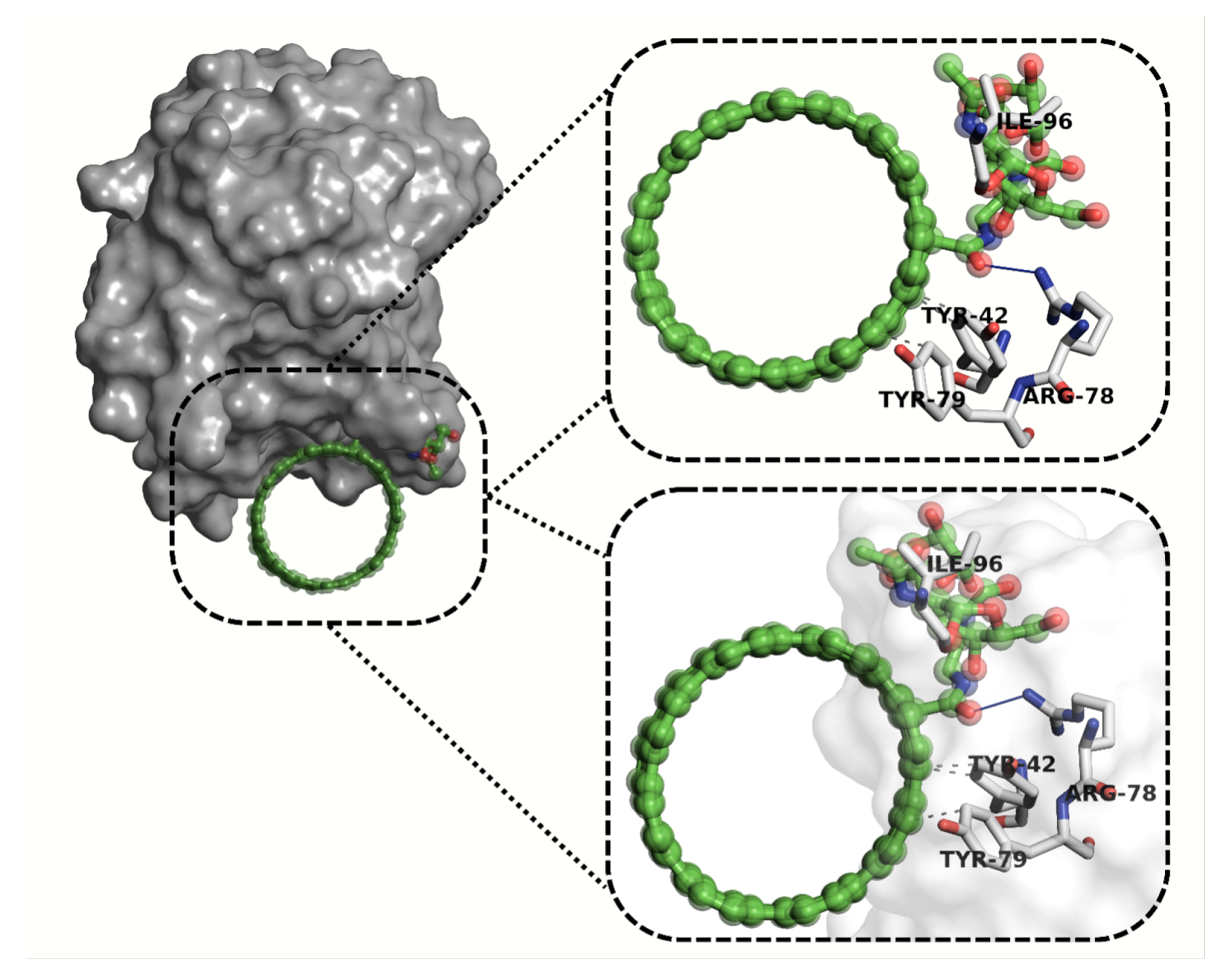 Pharmaceuticals 18 00805 g015