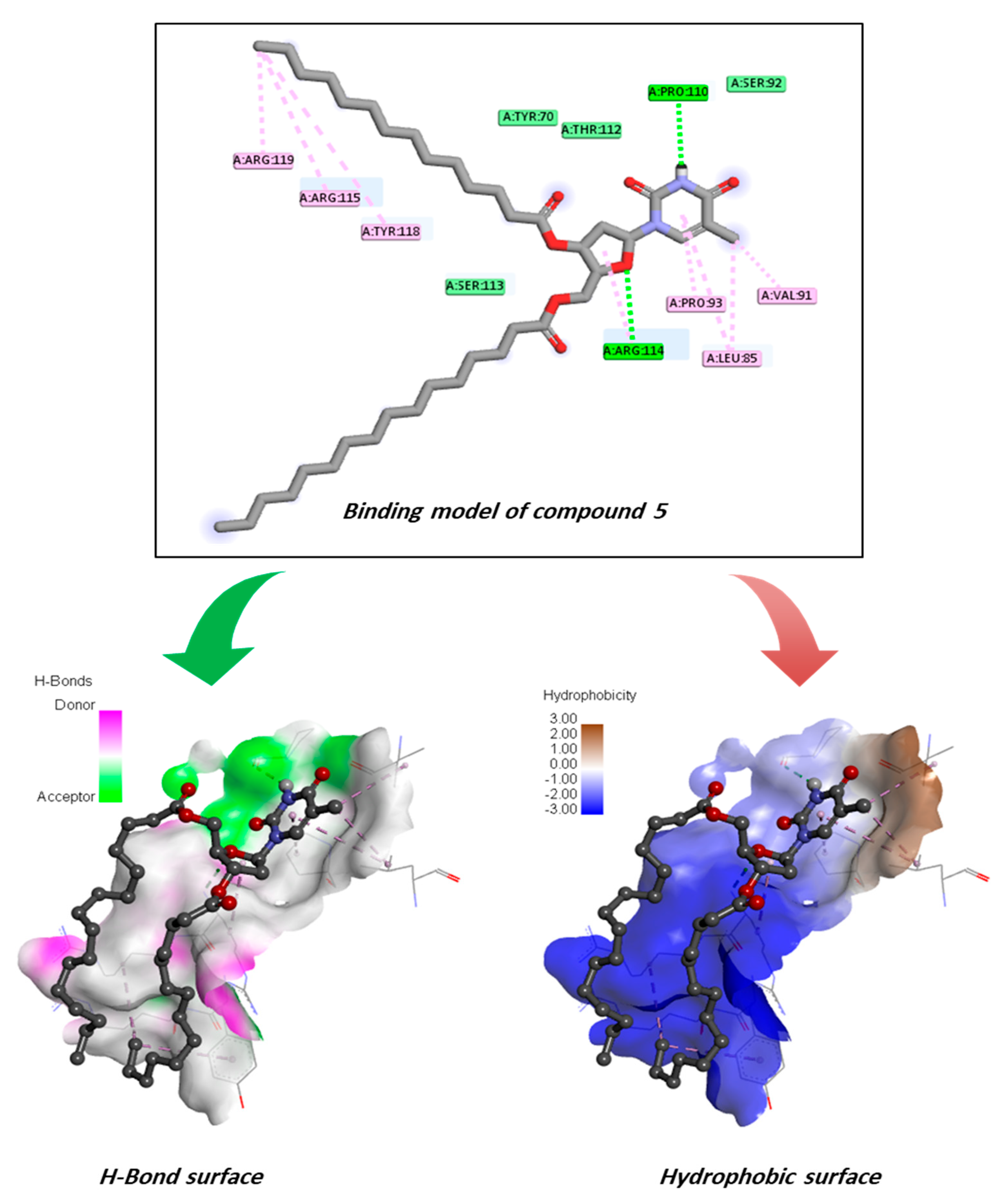 Pharmaceuticals 18 00806 g010