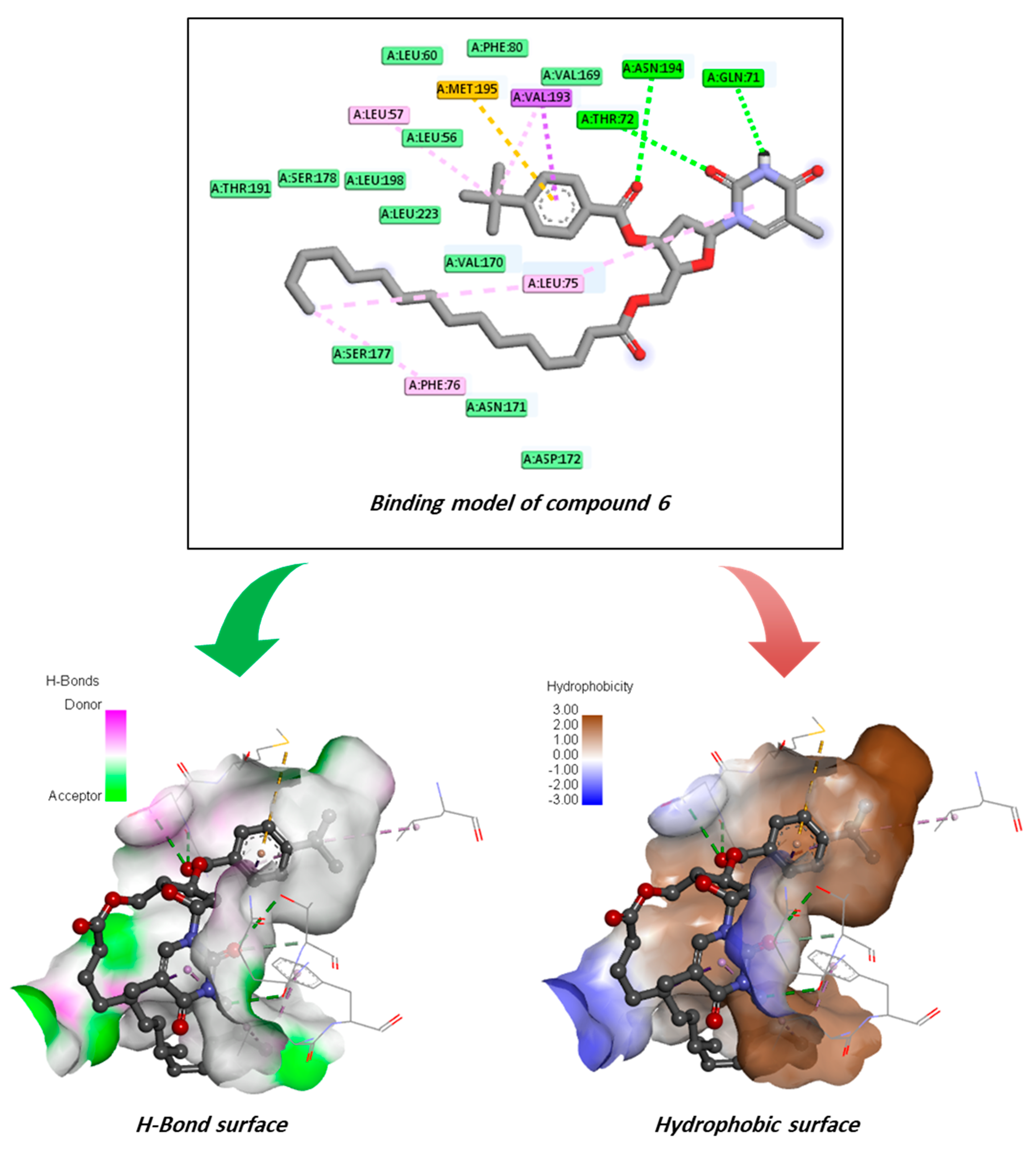 Pharmaceuticals 18 00806 g012