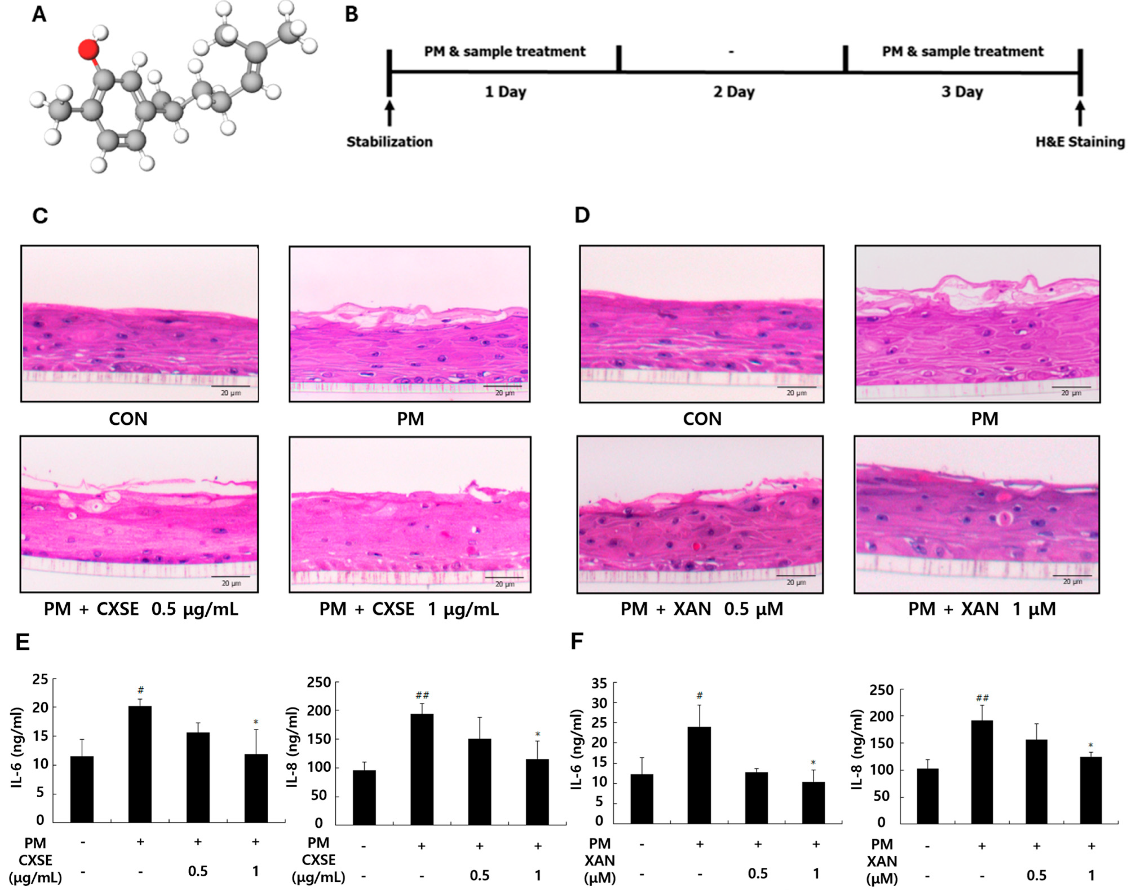 Pharmaceuticals 18 00808 g001