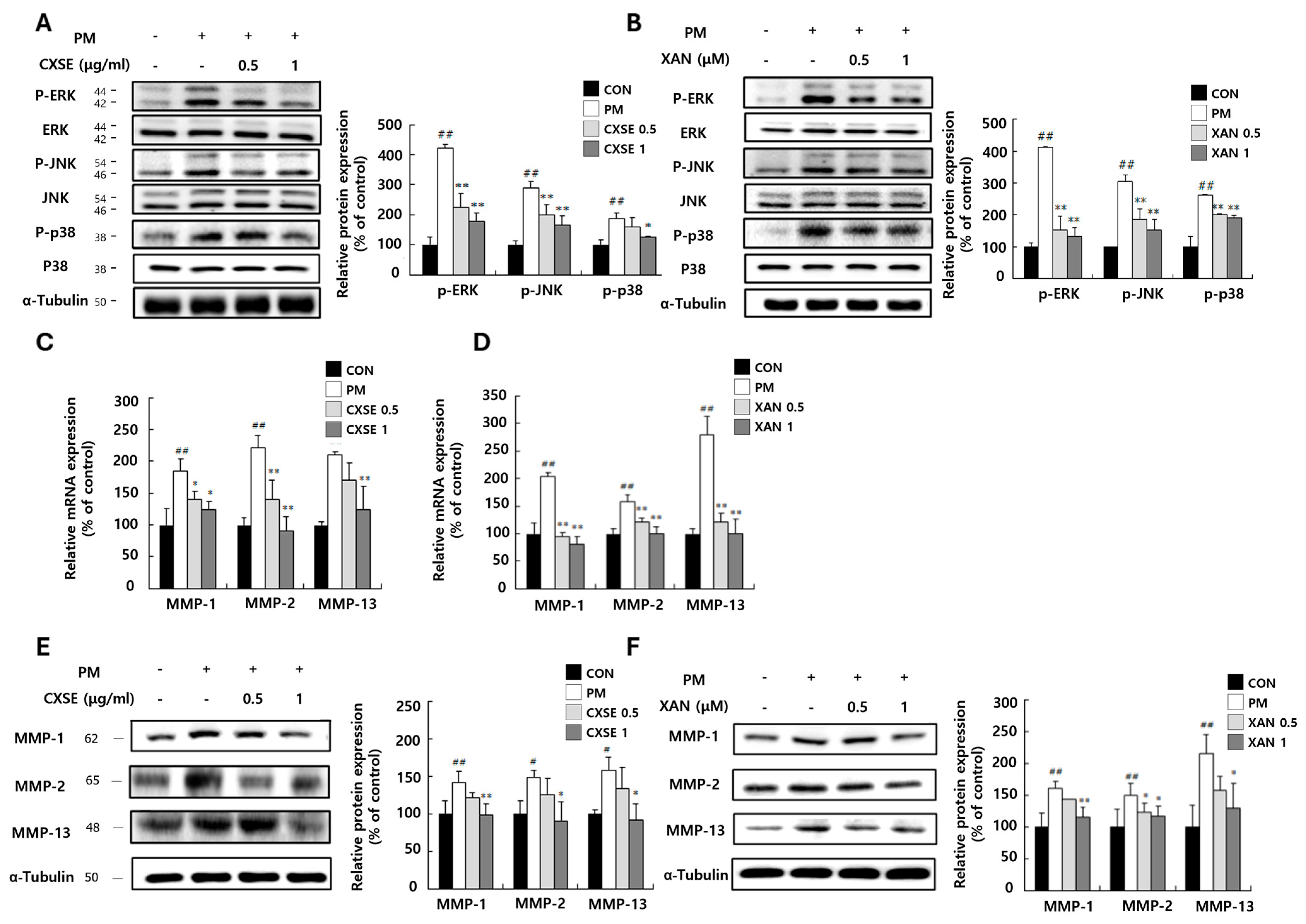Pharmaceuticals 18 00808 g003