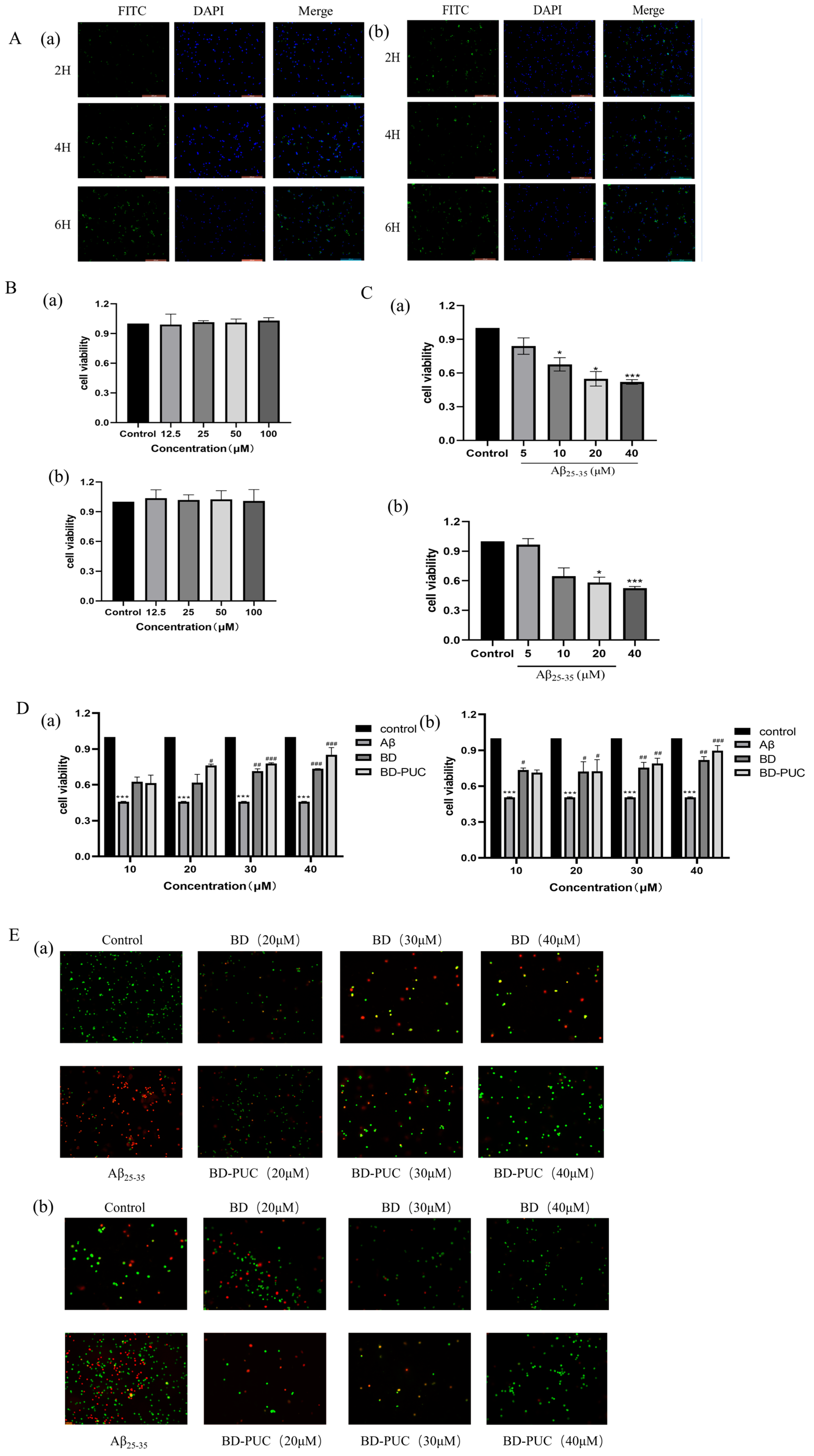 Pharmaceuticals 18 00809 g003
