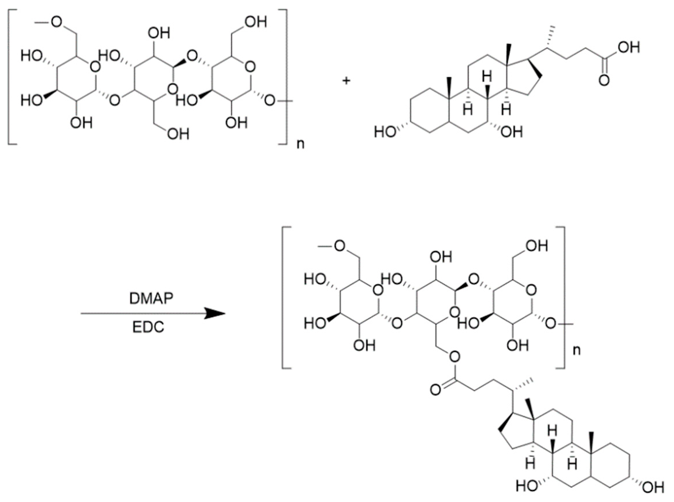 Pharmaceuticals 18 00809 g006