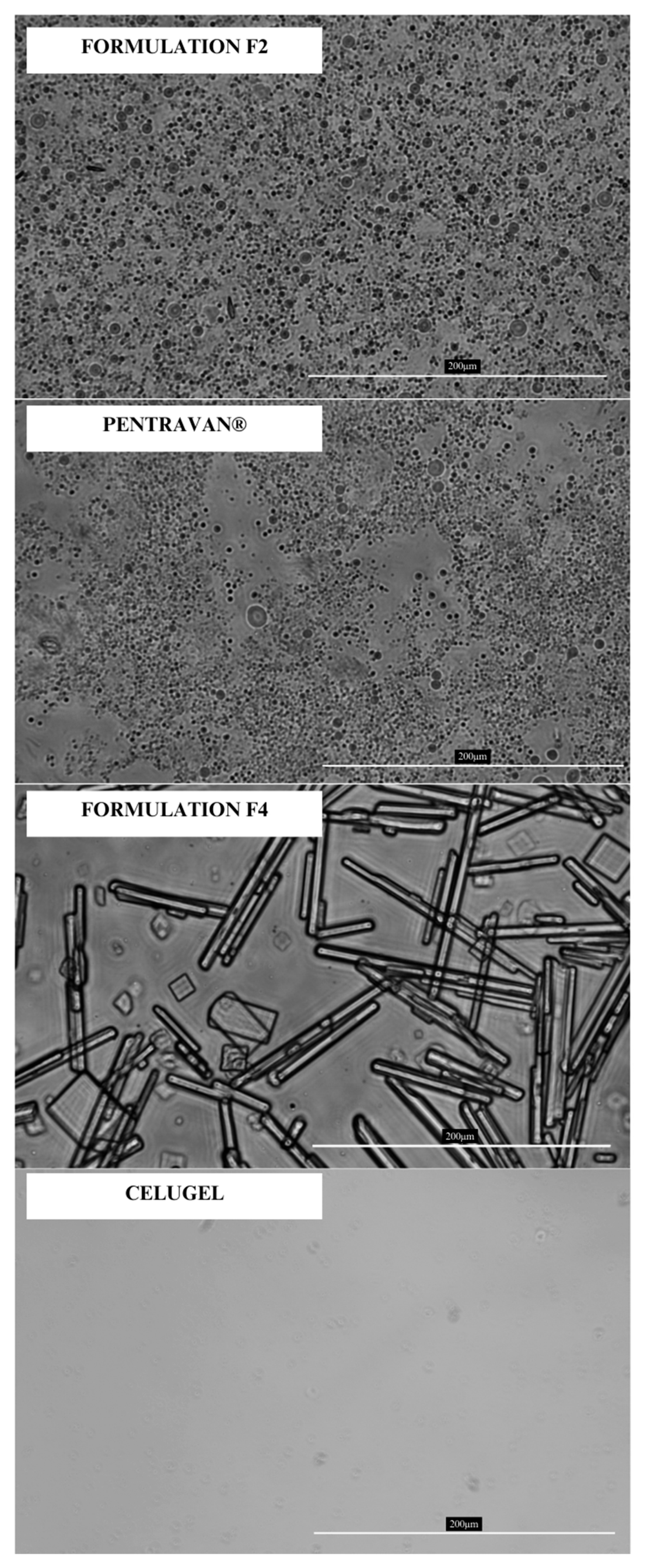 Pharmaceuticals 18 00810 g002