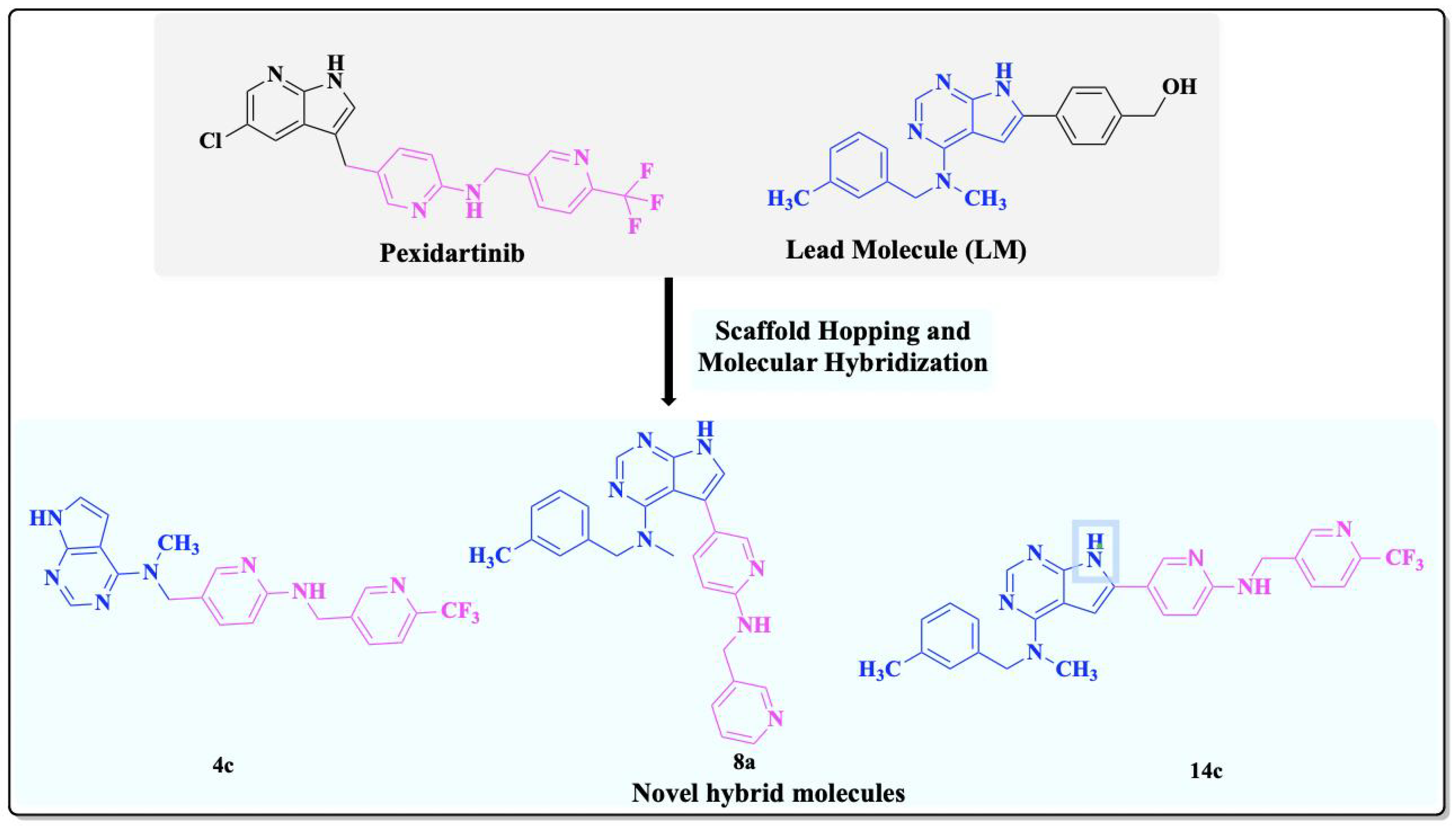 Pharmaceuticals 18 00814 g003