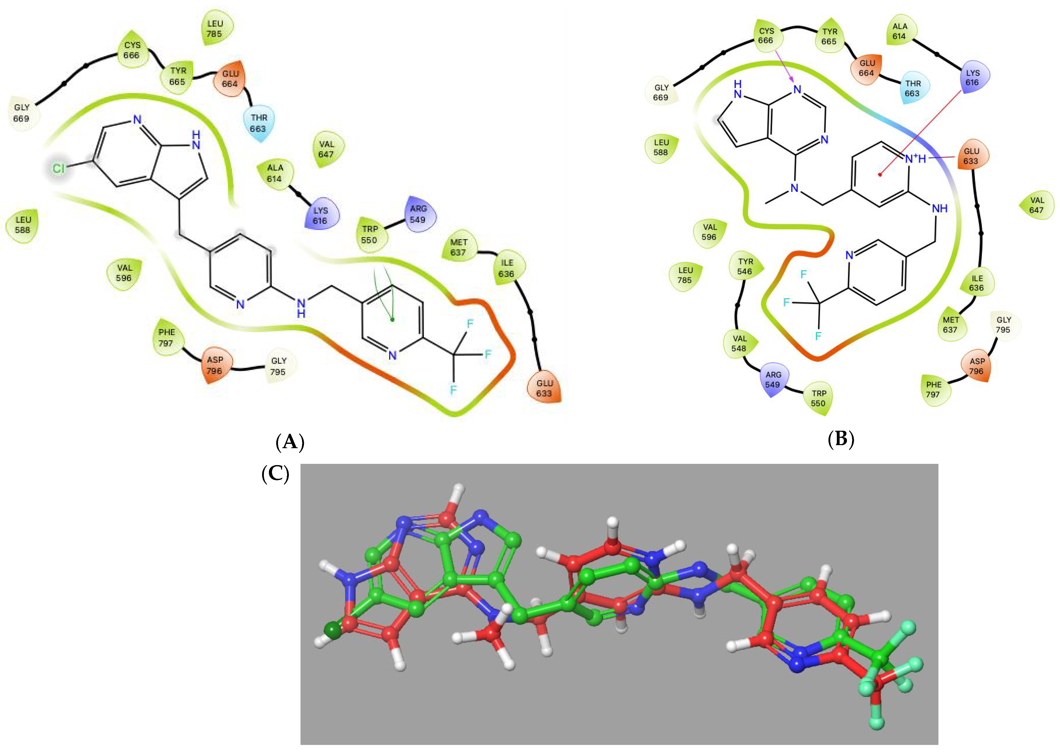 Pharmaceuticals 18 00814 g004