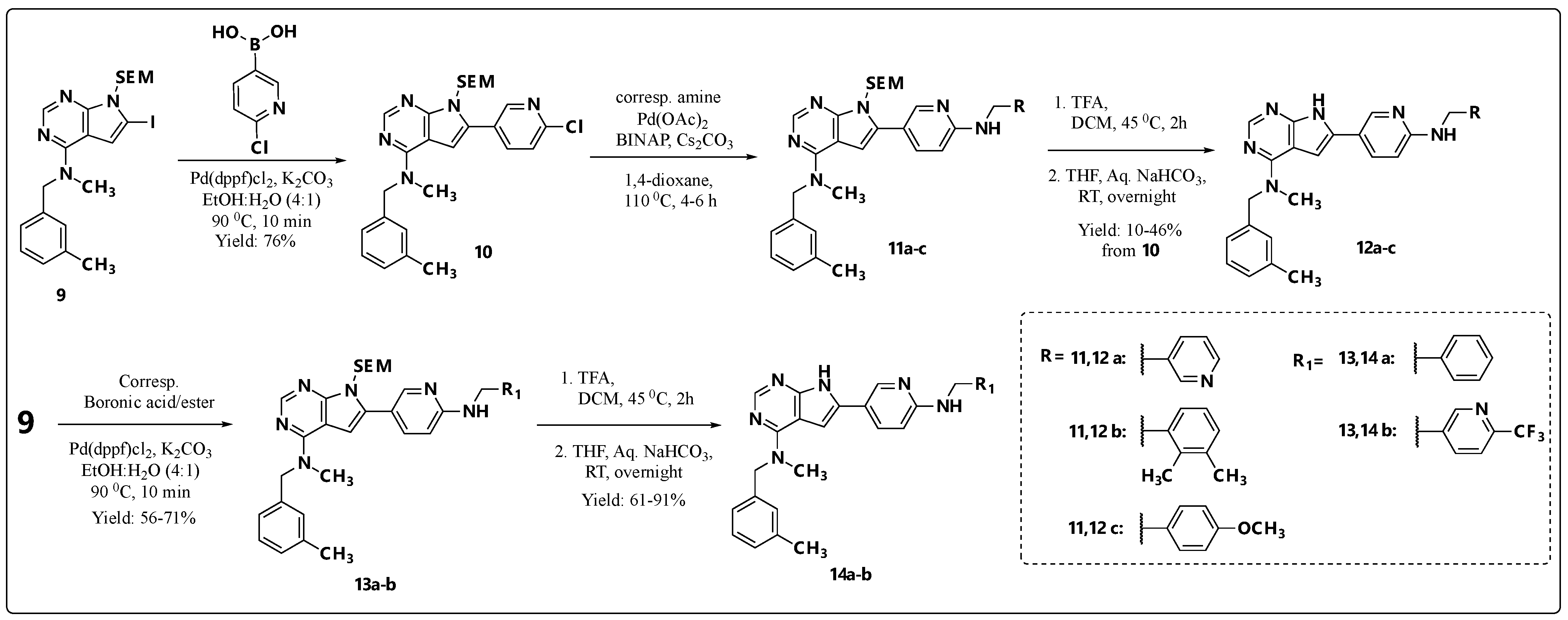 Pharmaceuticals 18 00814 sch003