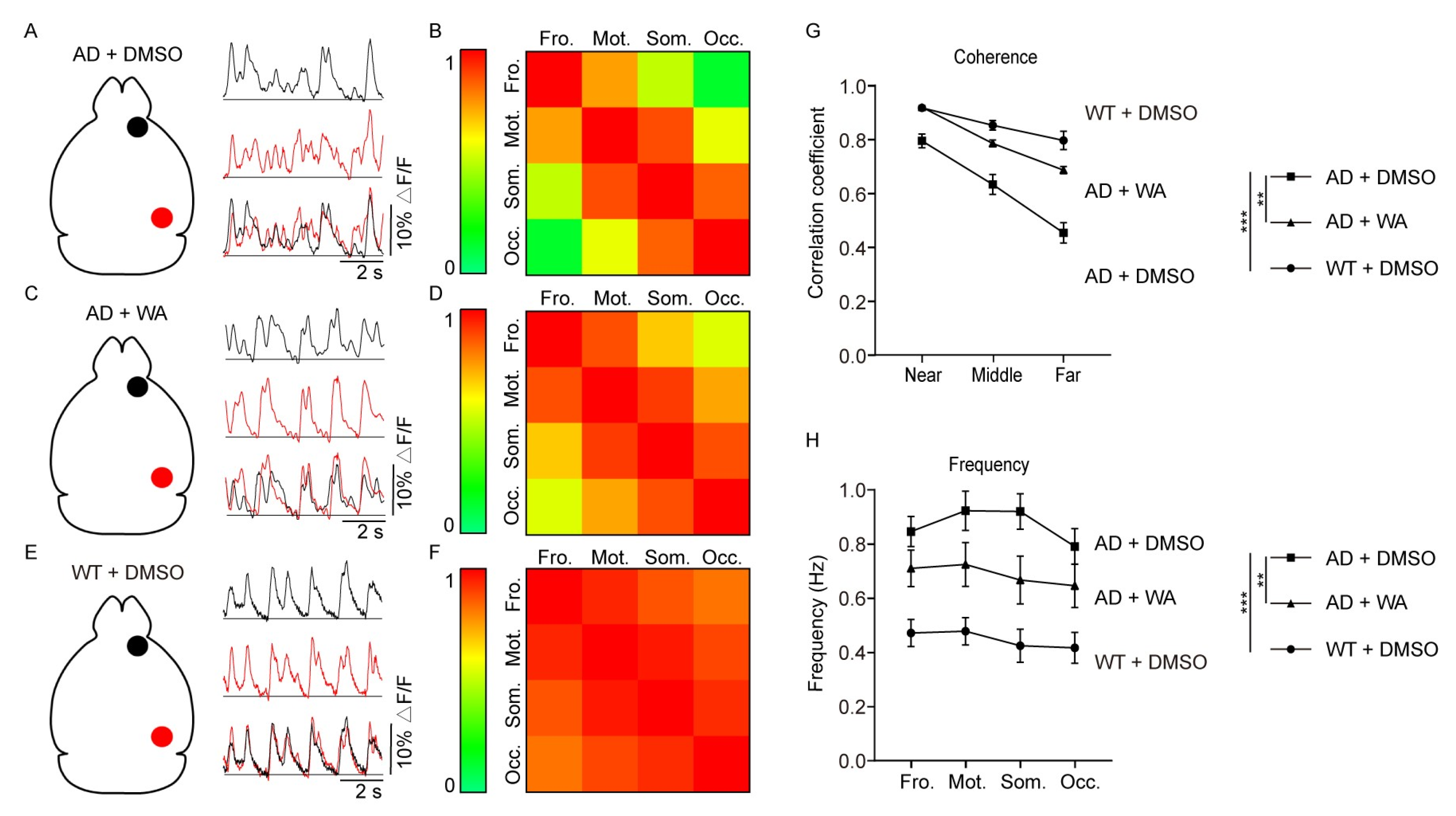Pharmaceuticals 18 00816 g004
