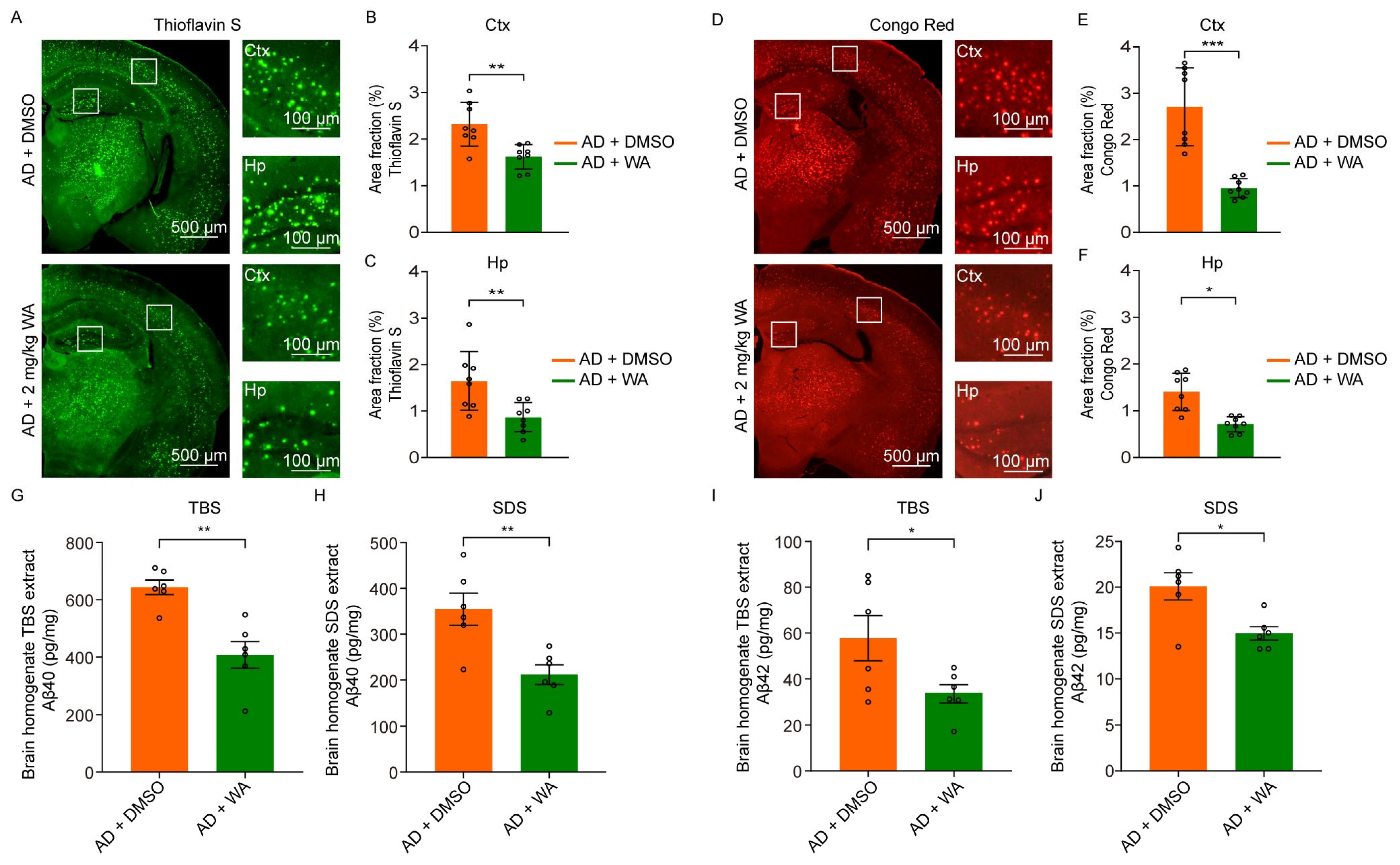 Pharmaceuticals 18 00816 g005