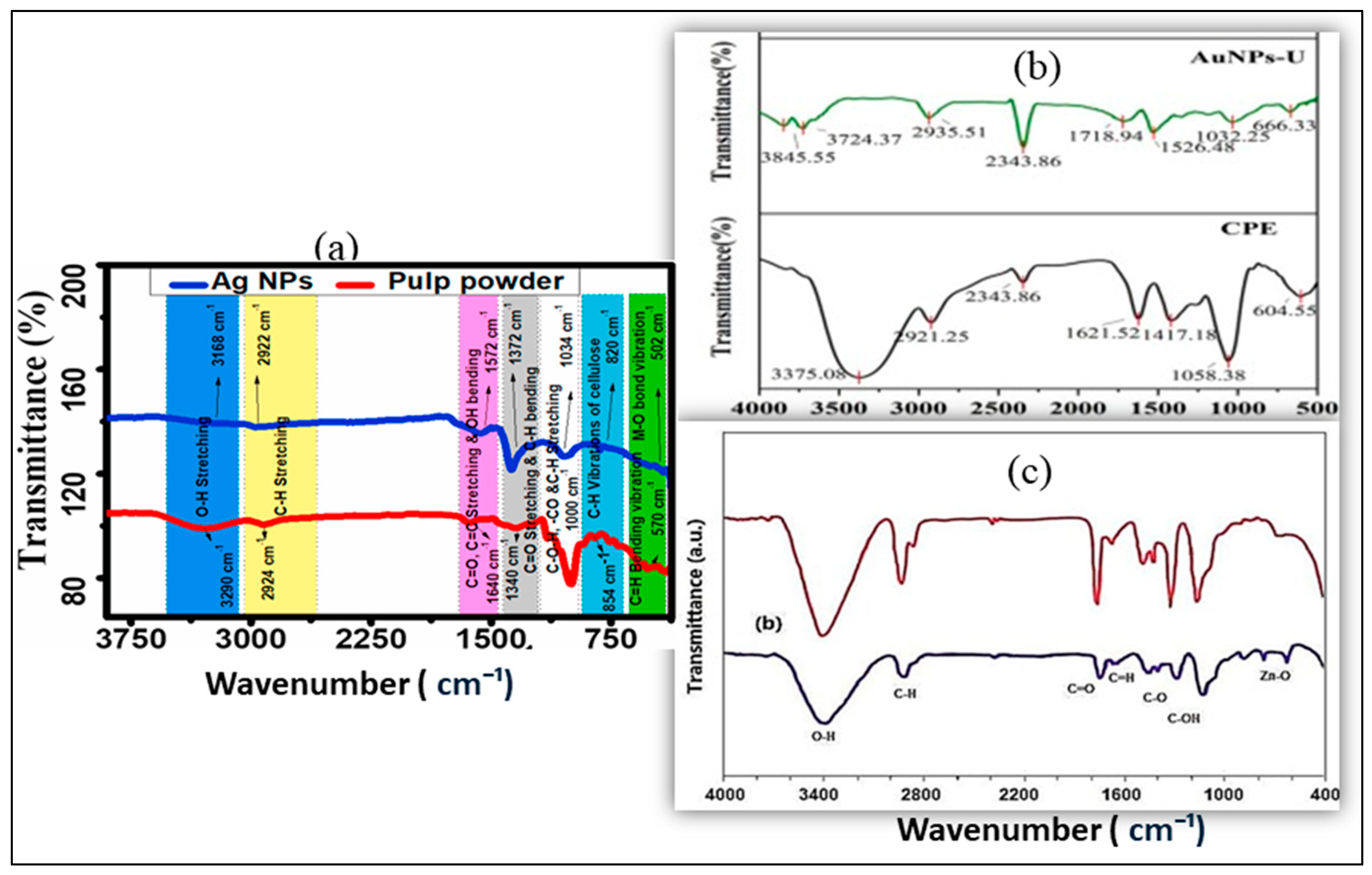 Pharmaceuticals 18 00820 g004