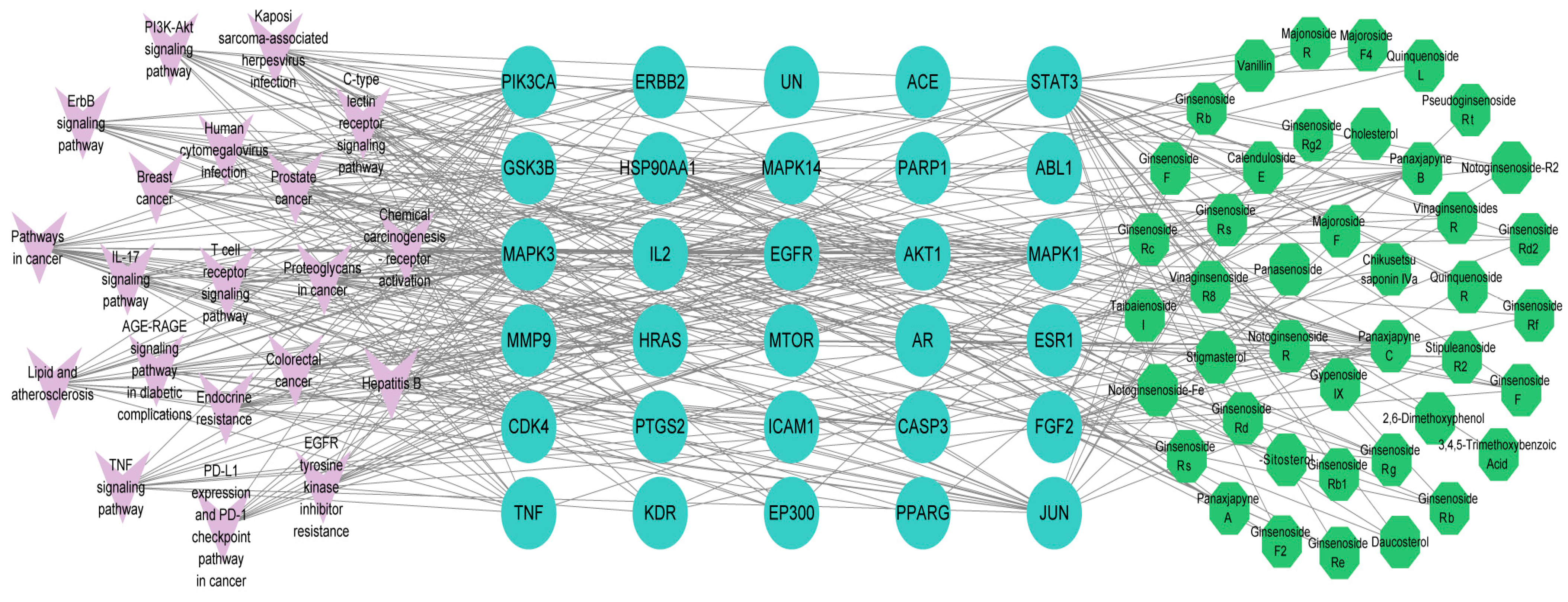 Pharmaceuticals 18 00823 g004