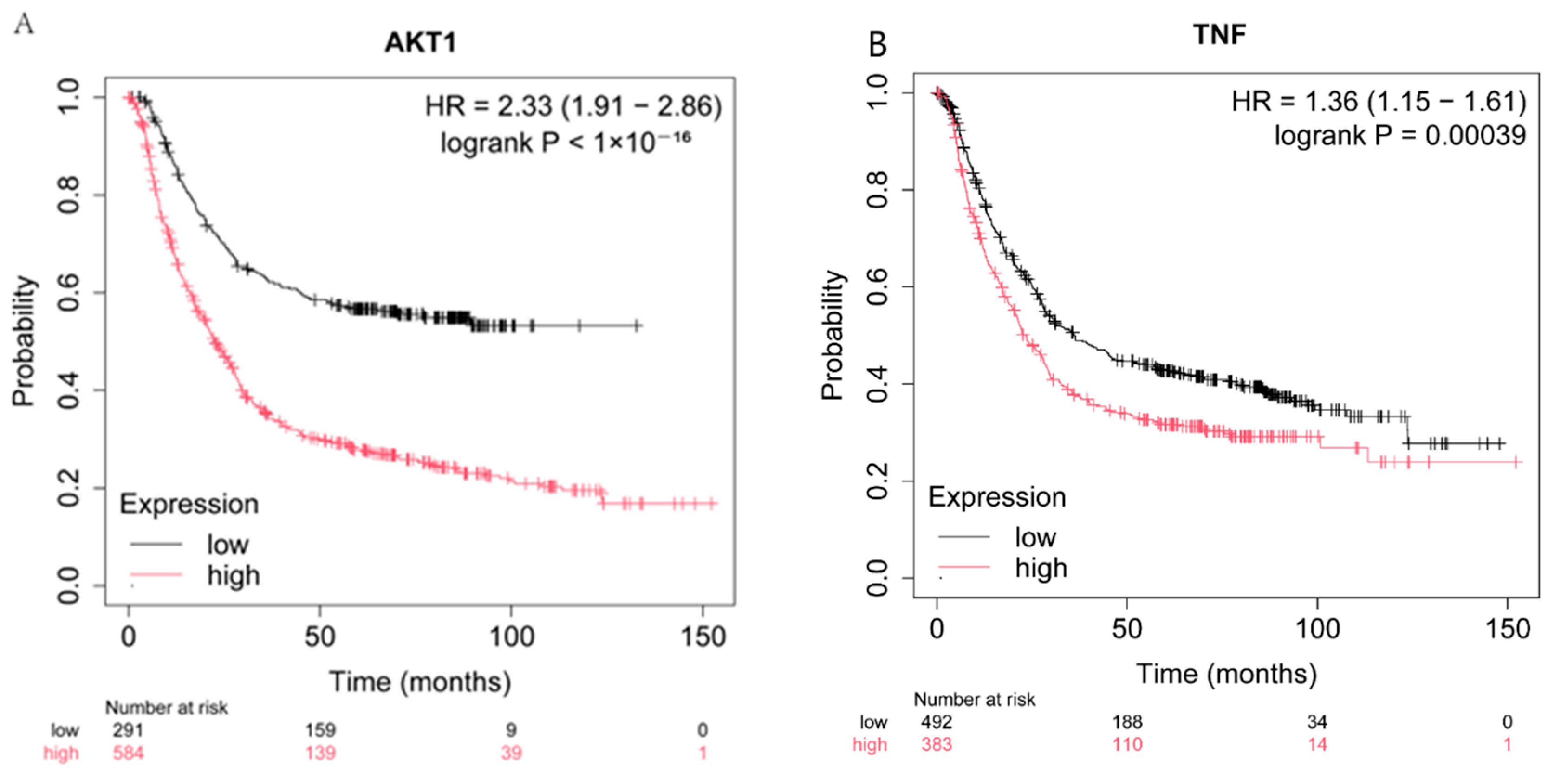 Pharmaceuticals 18 00823 g005a
