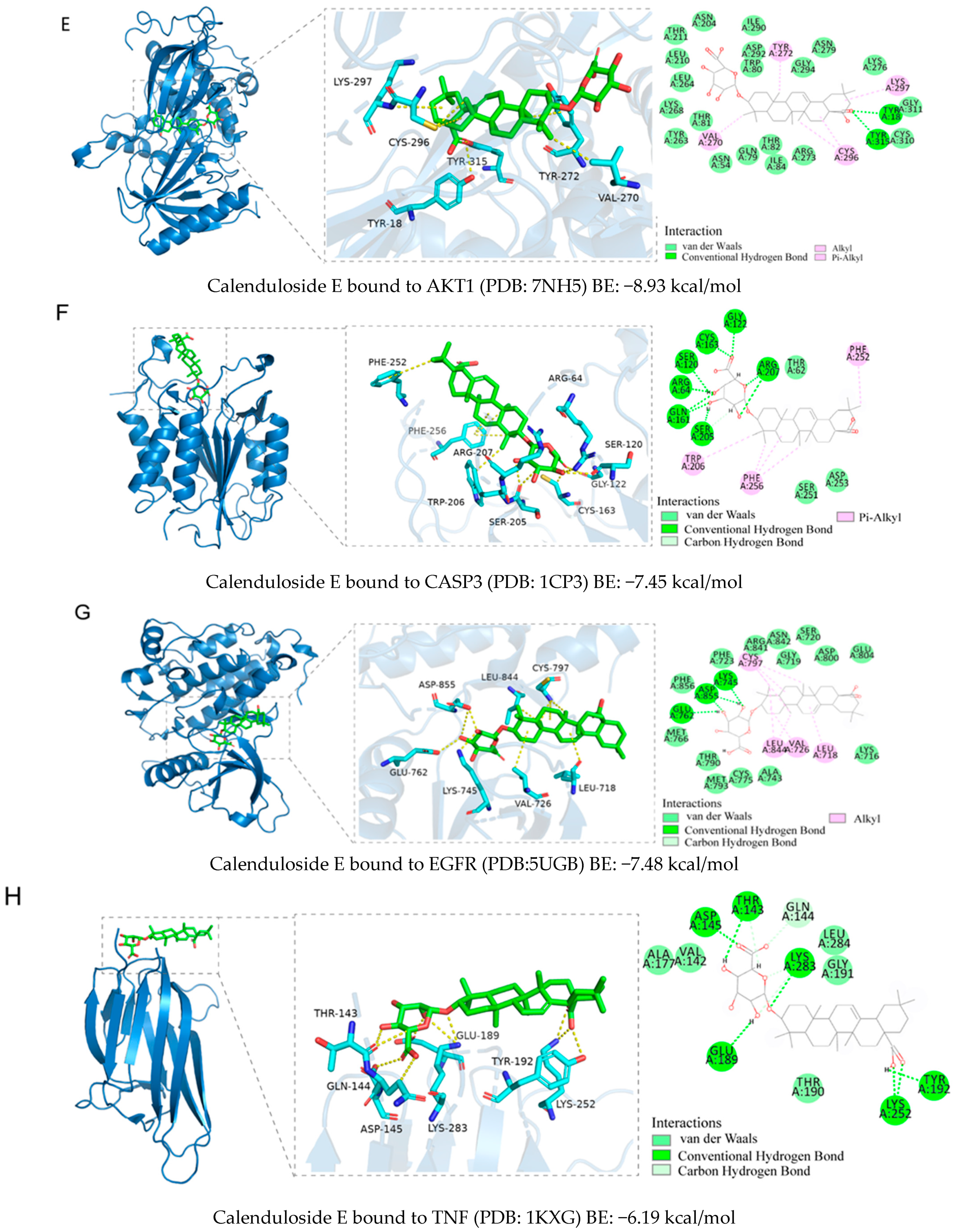 Pharmaceuticals 18 00823 g006b