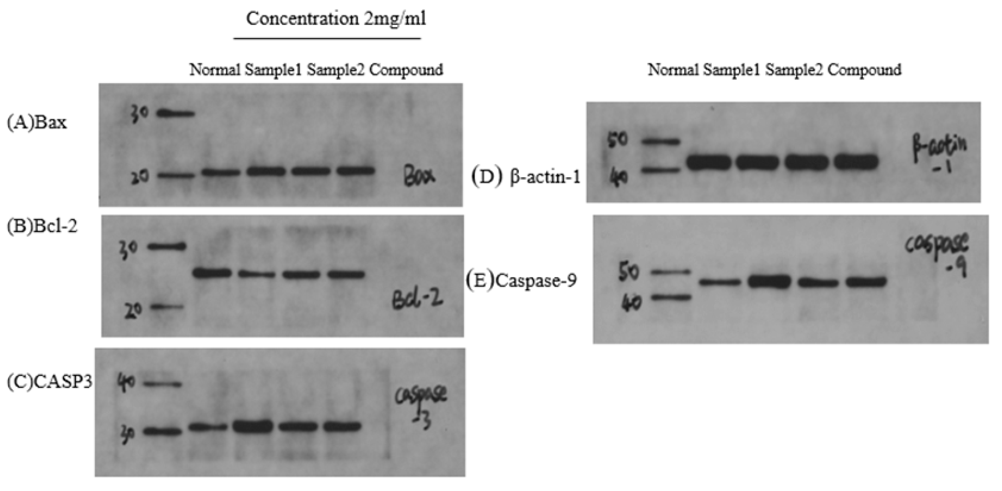 Pharmaceuticals 18 00823 g014a