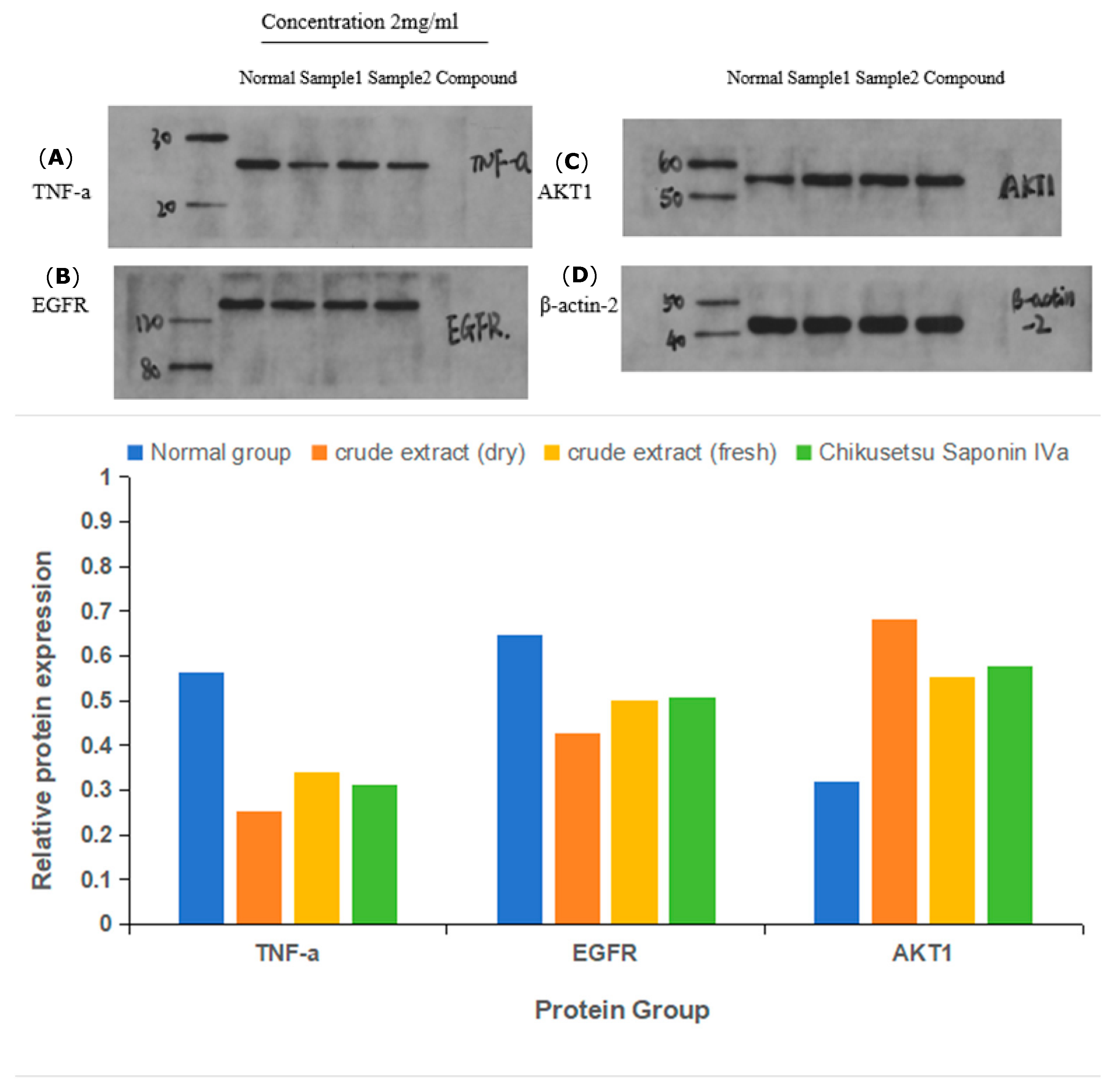 Pharmaceuticals 18 00823 g015