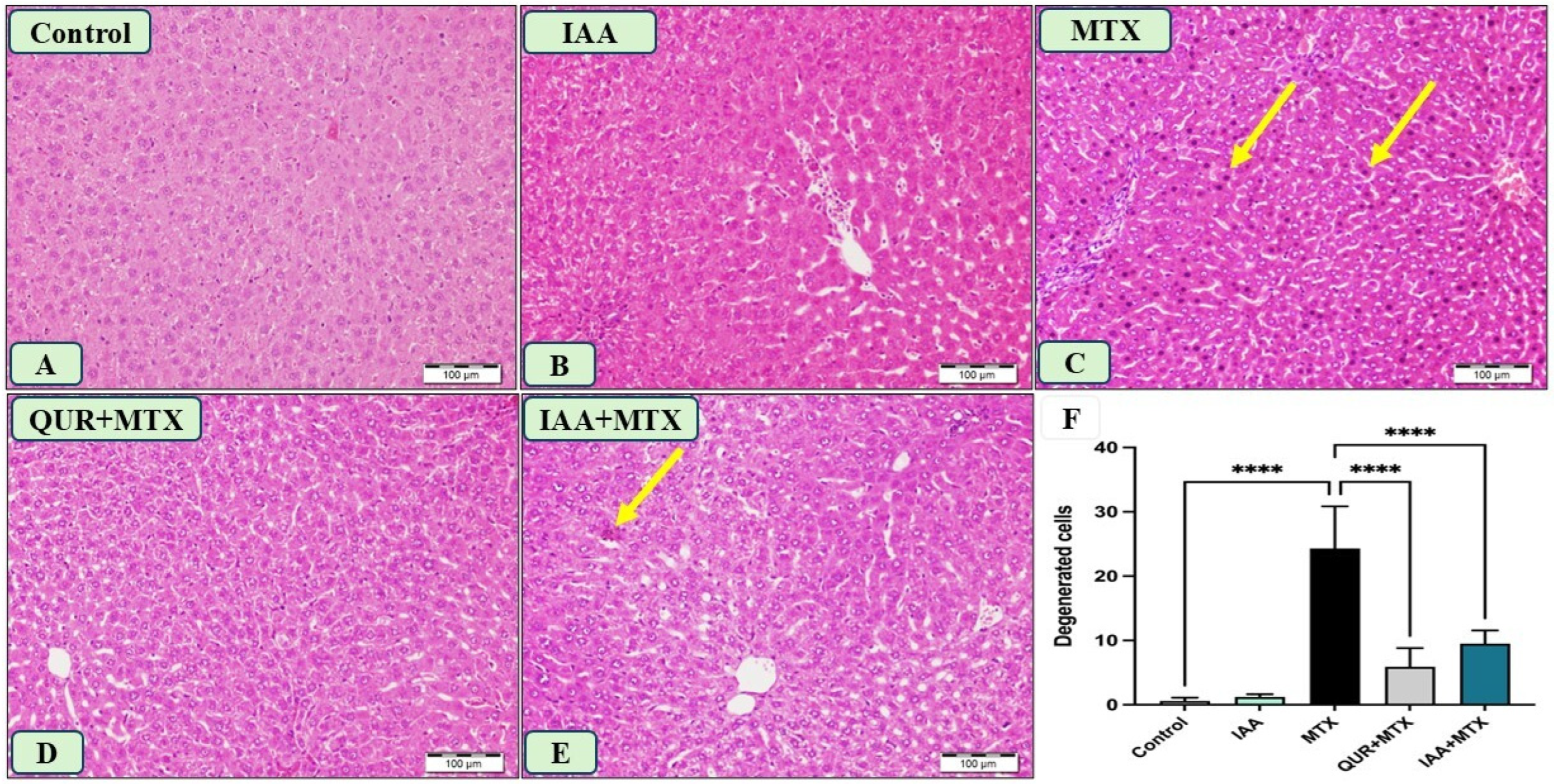 Pharmaceuticals 18 00828 g004