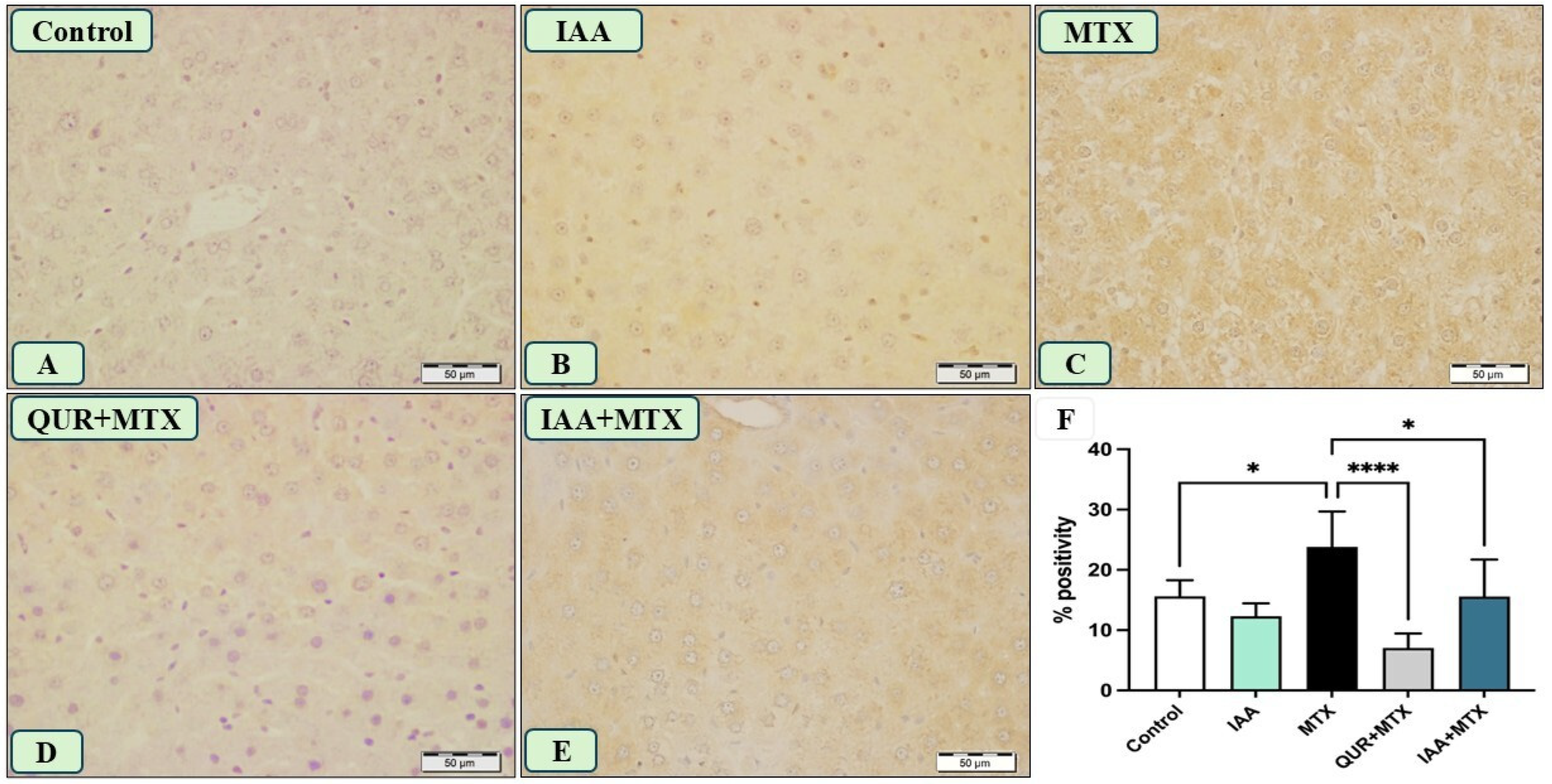 Pharmaceuticals 18 00828 g006