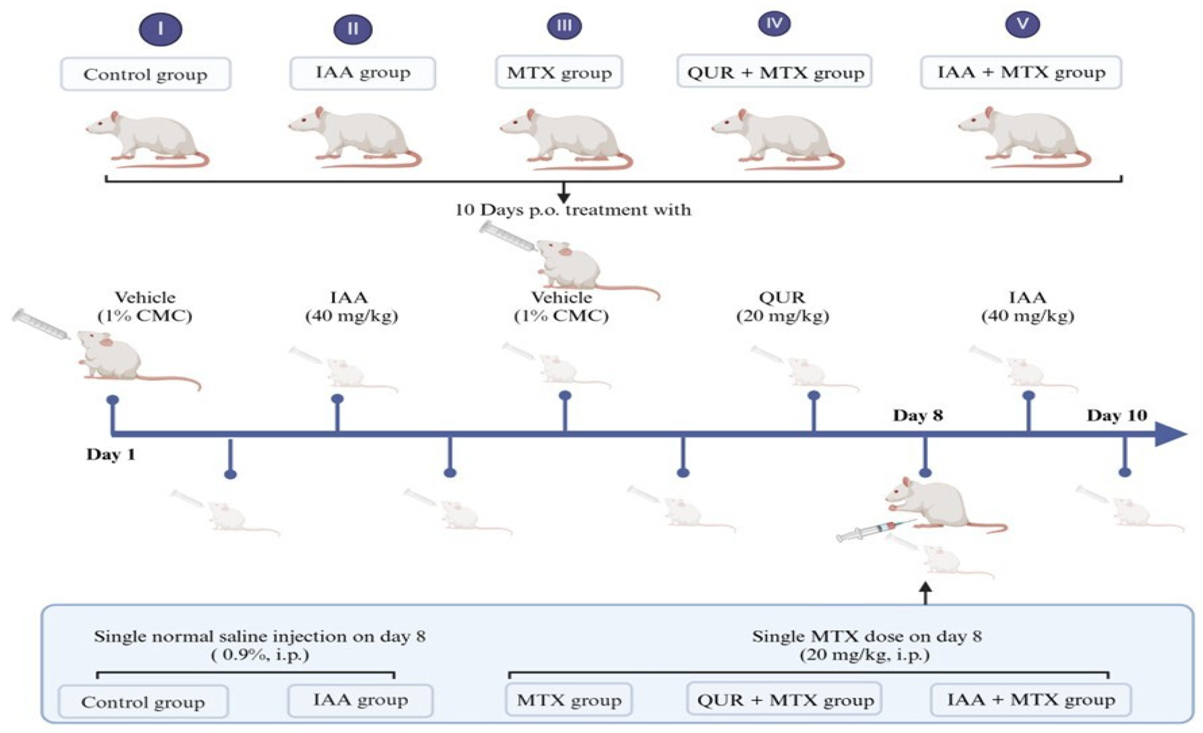 Pharmaceuticals 18 00828 g008