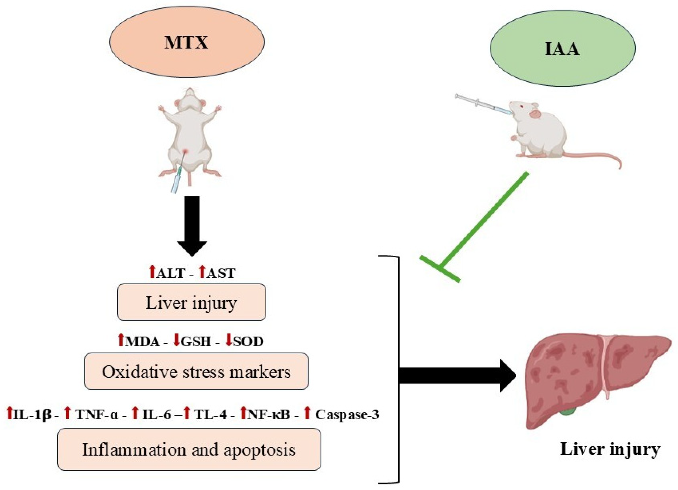 Pharmaceuticals 18 00828 g009