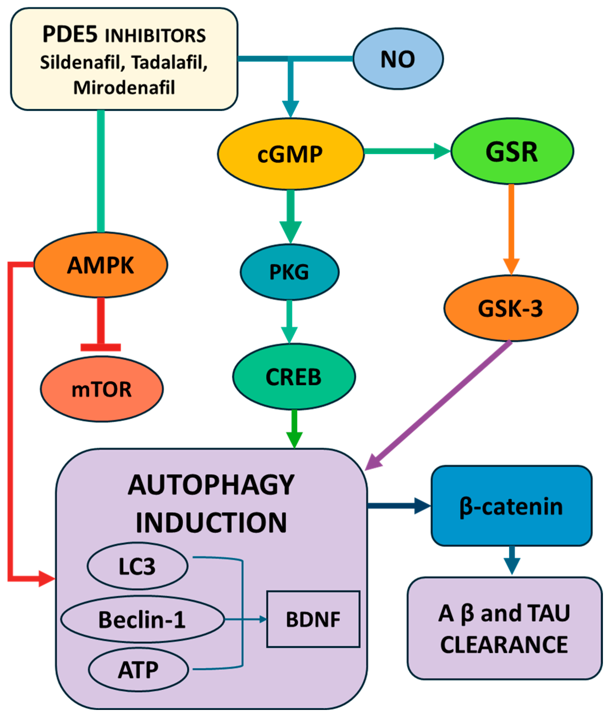 Pharmaceuticals 18 00829 g003