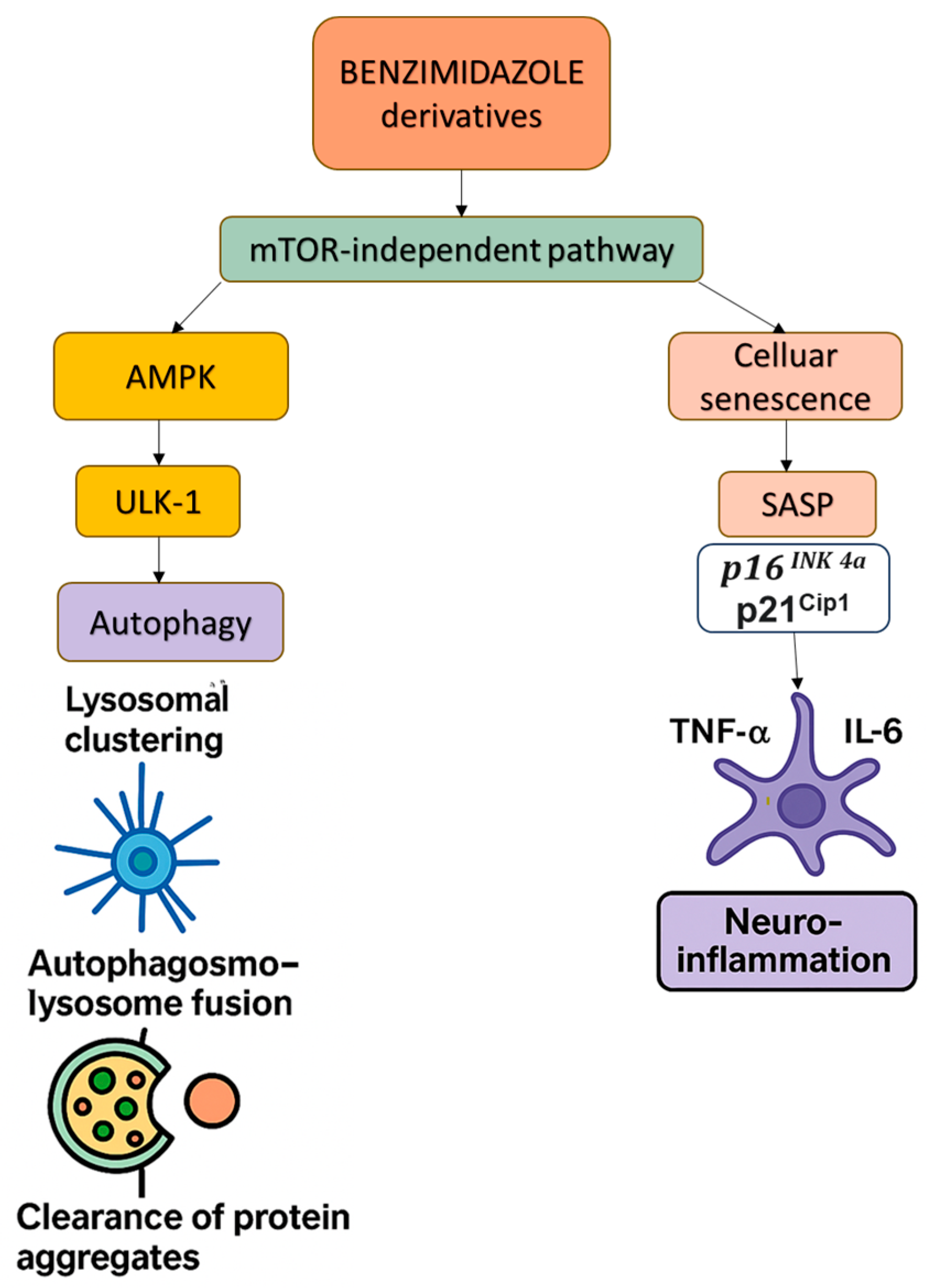 Pharmaceuticals 18 00829 g004