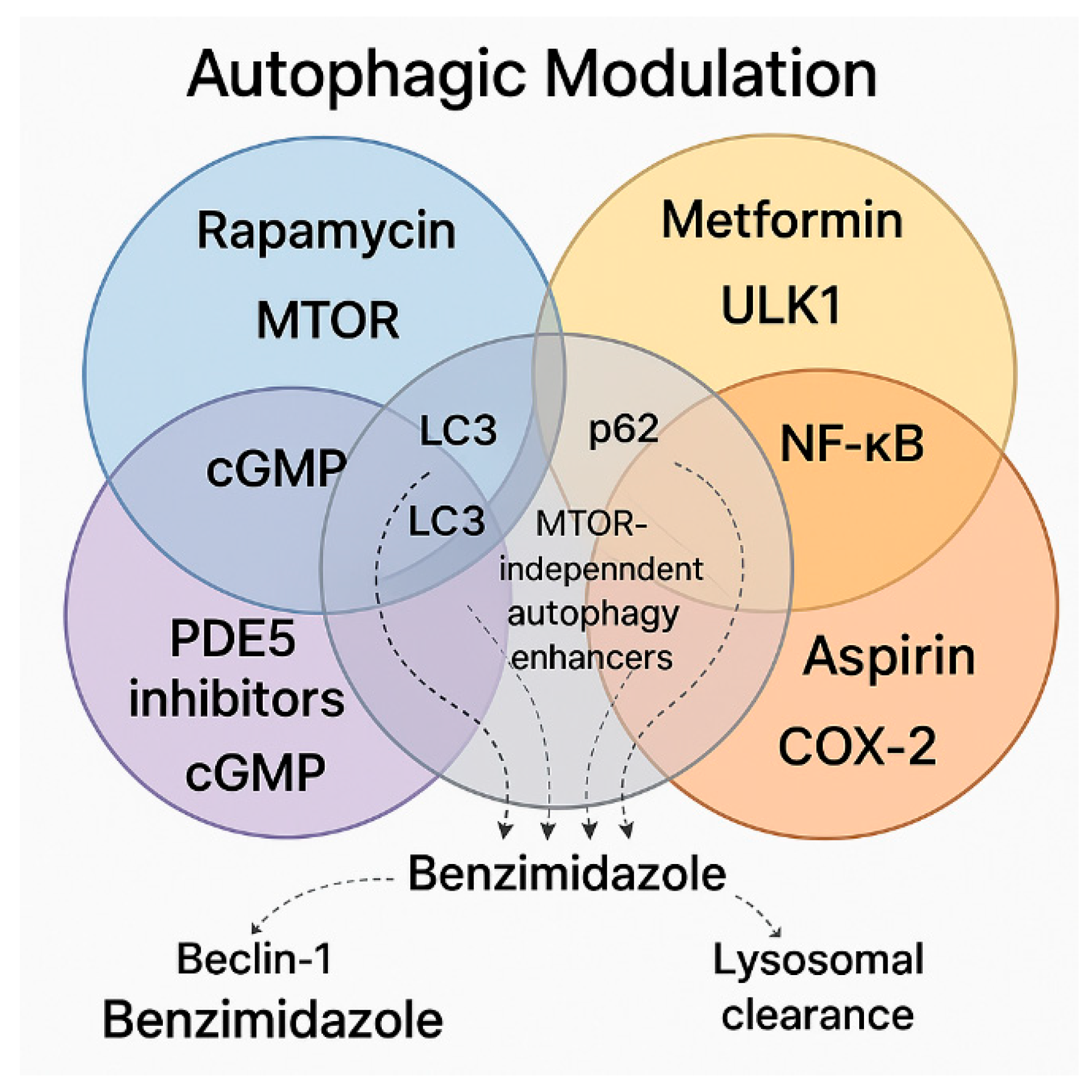 Pharmaceuticals 18 00829 g006