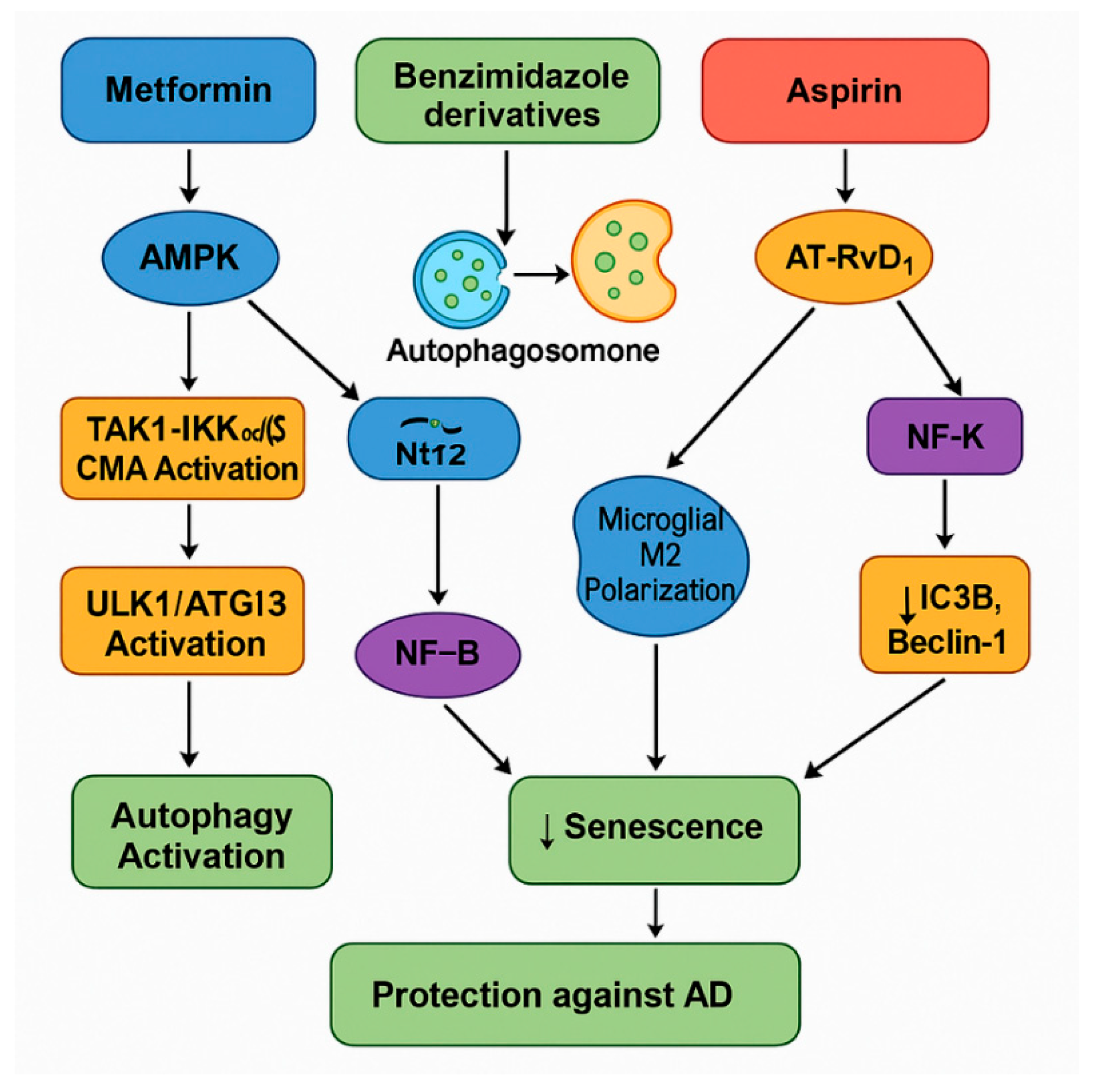Pharmaceuticals 18 00829 g007