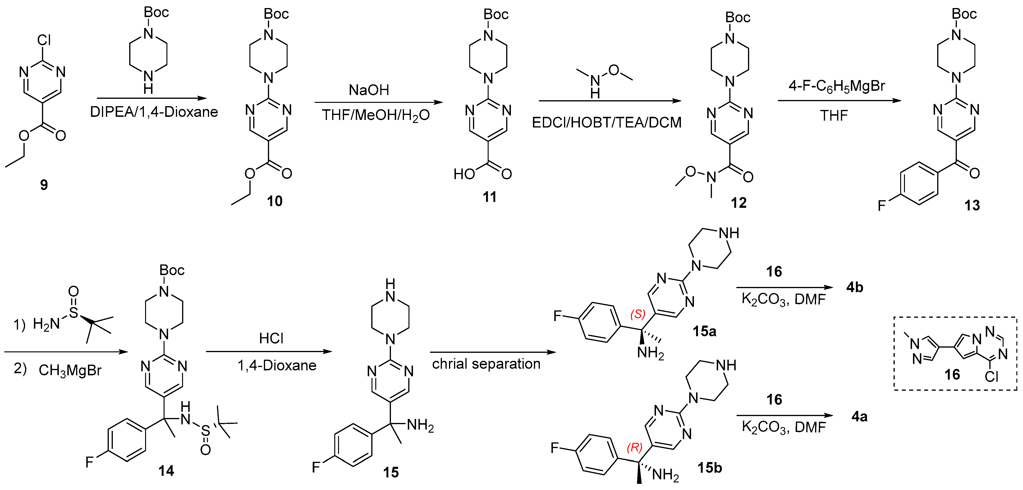 Pharmaceuticals 18 00833 sch002